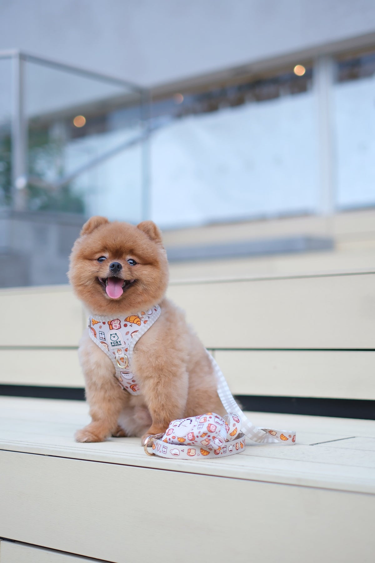 walk bundle
