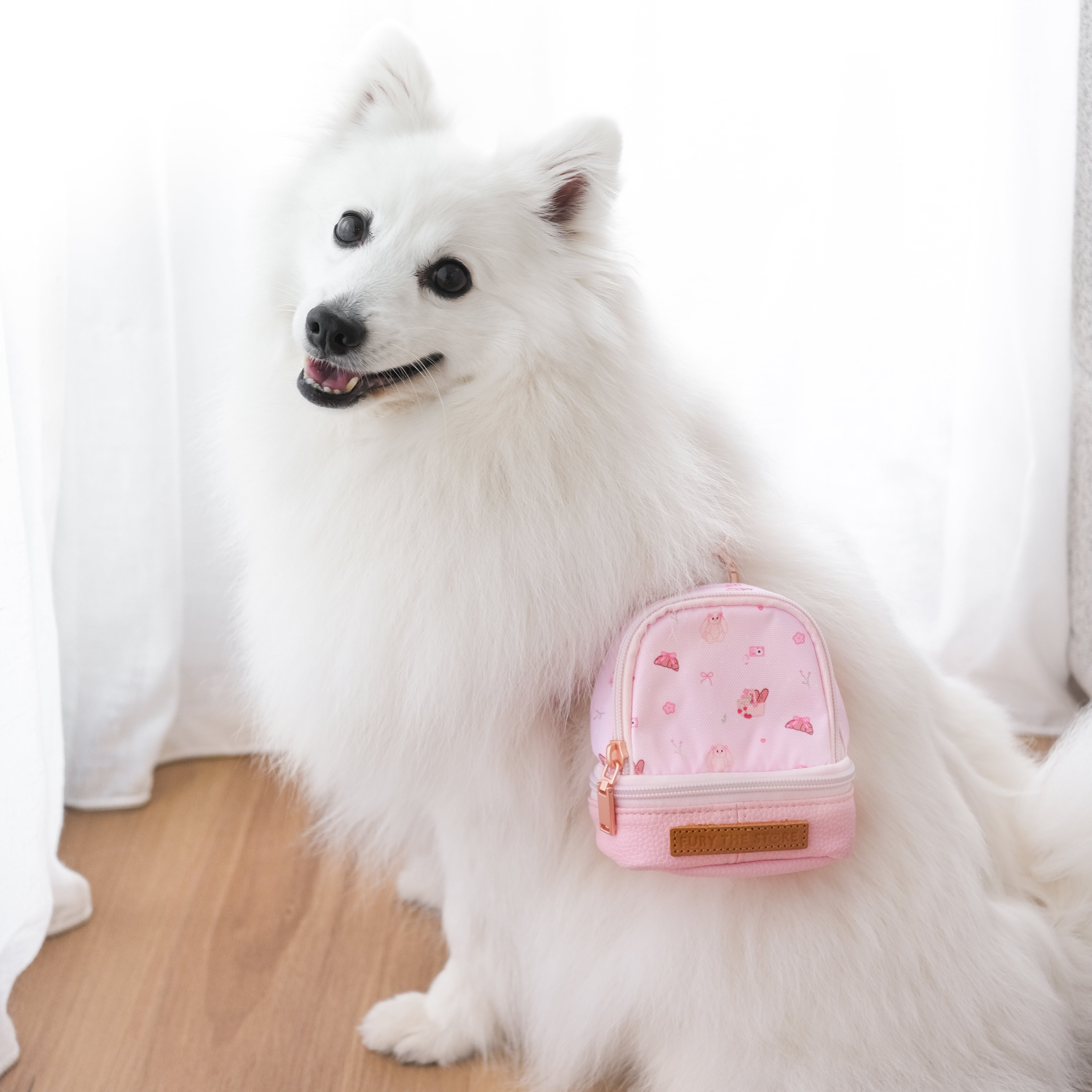 summit’s mini day pack
