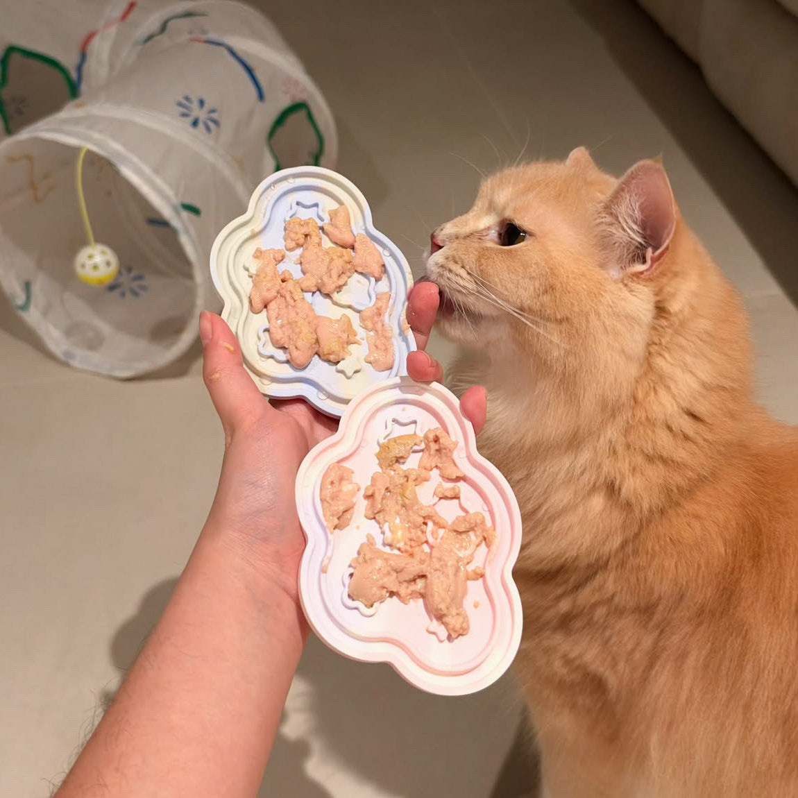 nimbus licky lid for cats