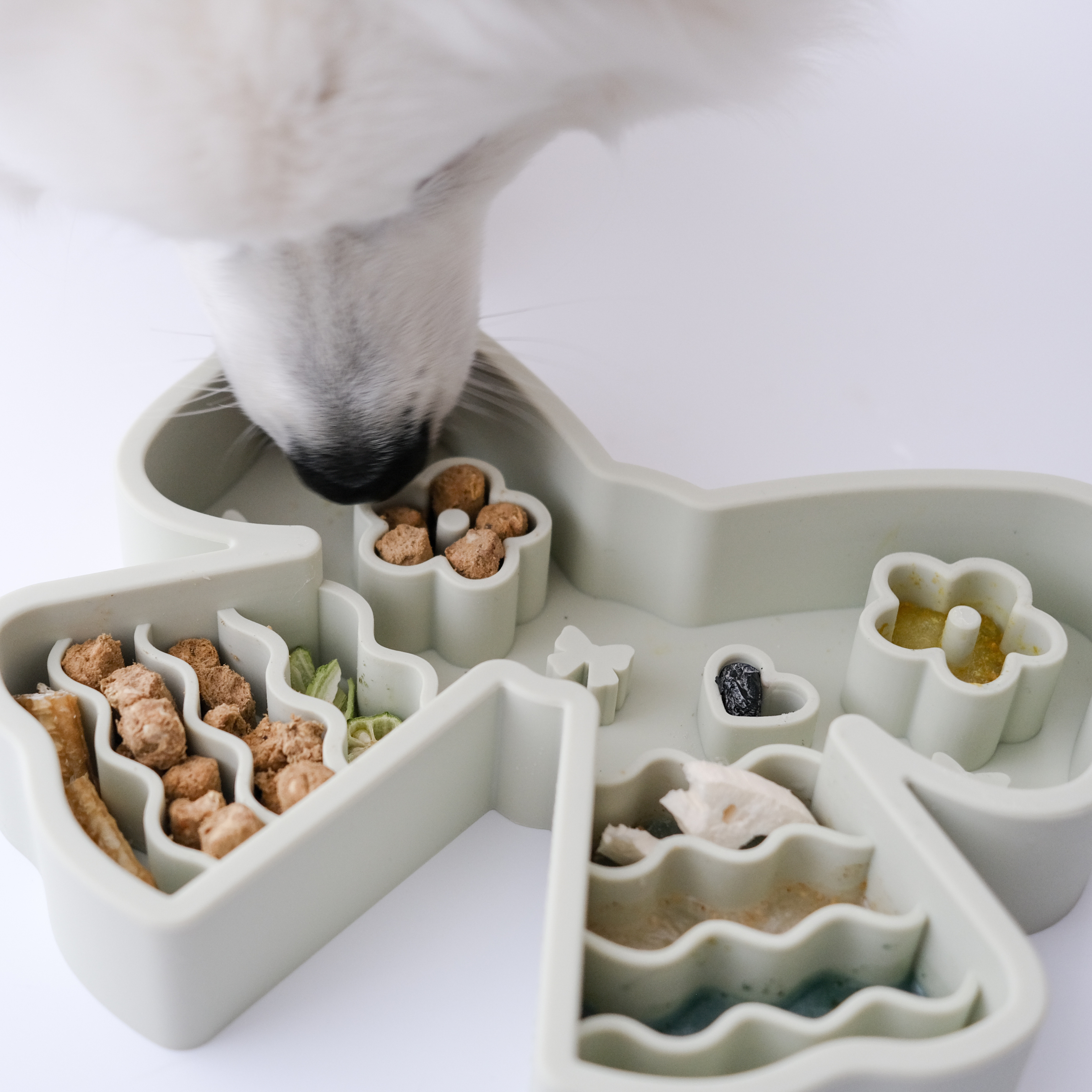 coquette forage feeder in matcha (sold out)
