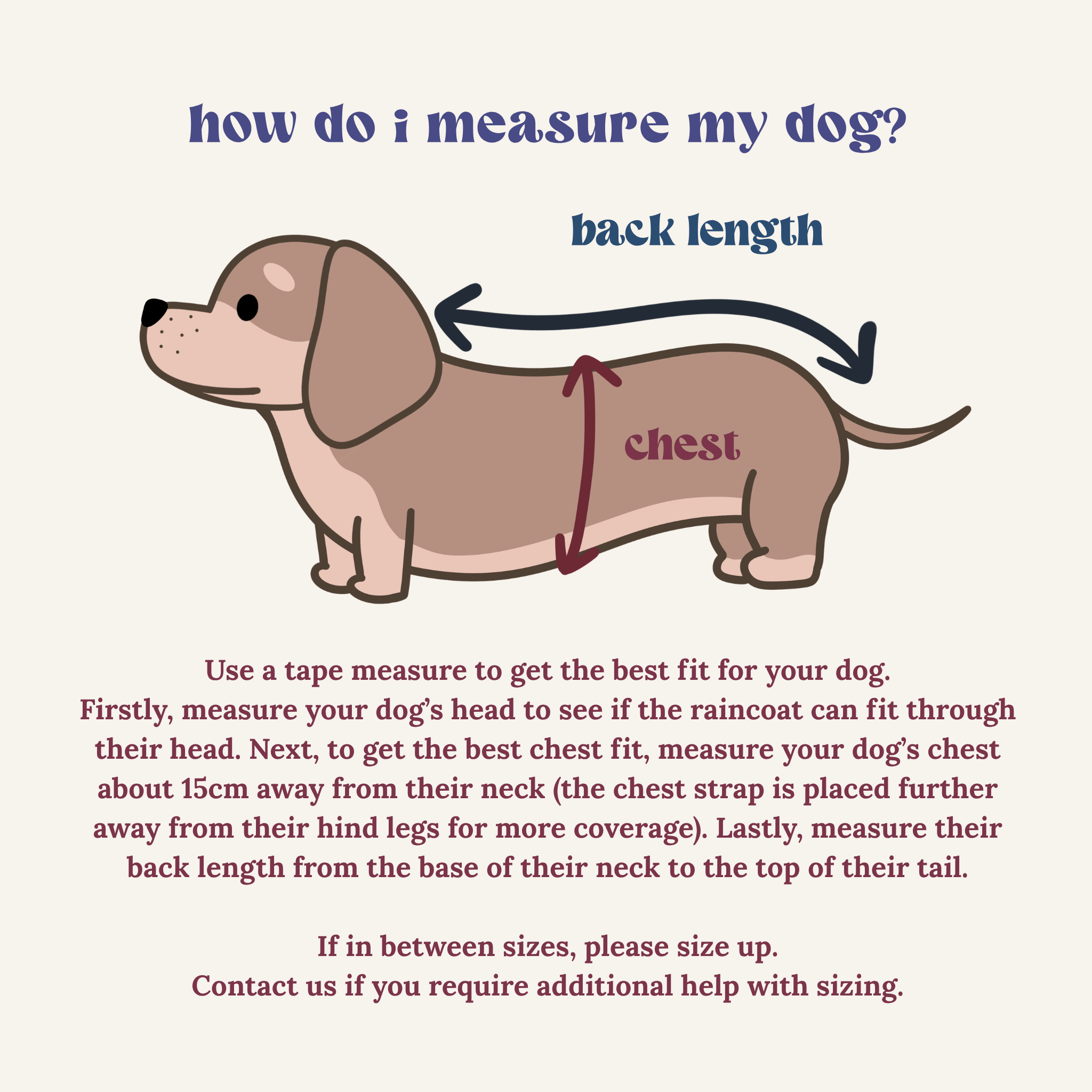 the good girl reversible raincoat