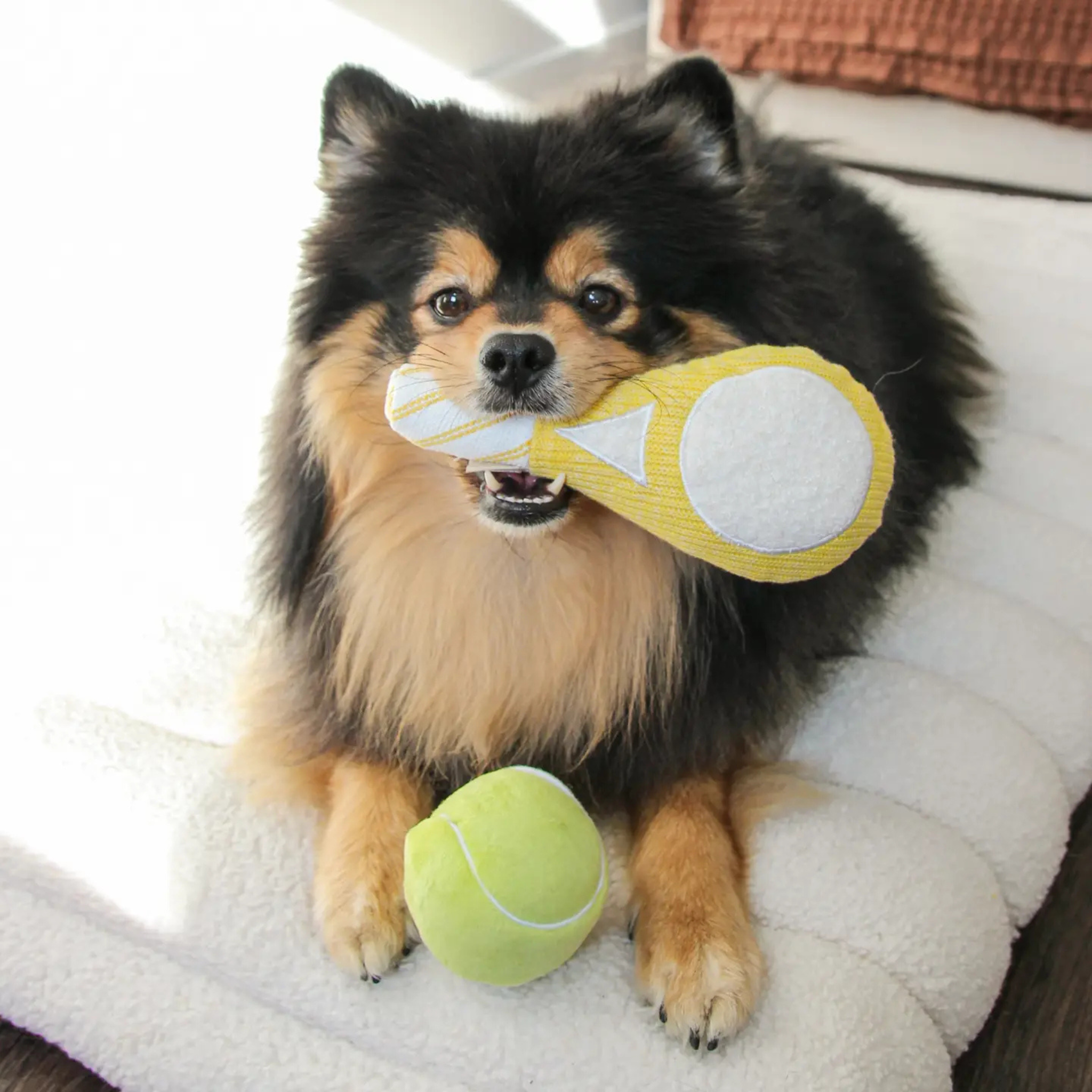 tennis pop toy | lambwolf co