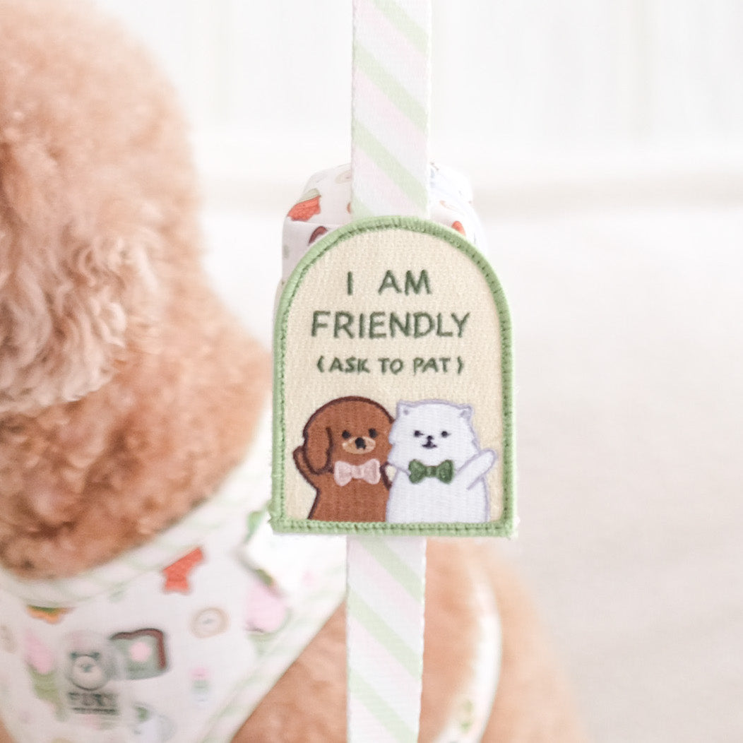 i'm friendly (fury&friends) attachable patch