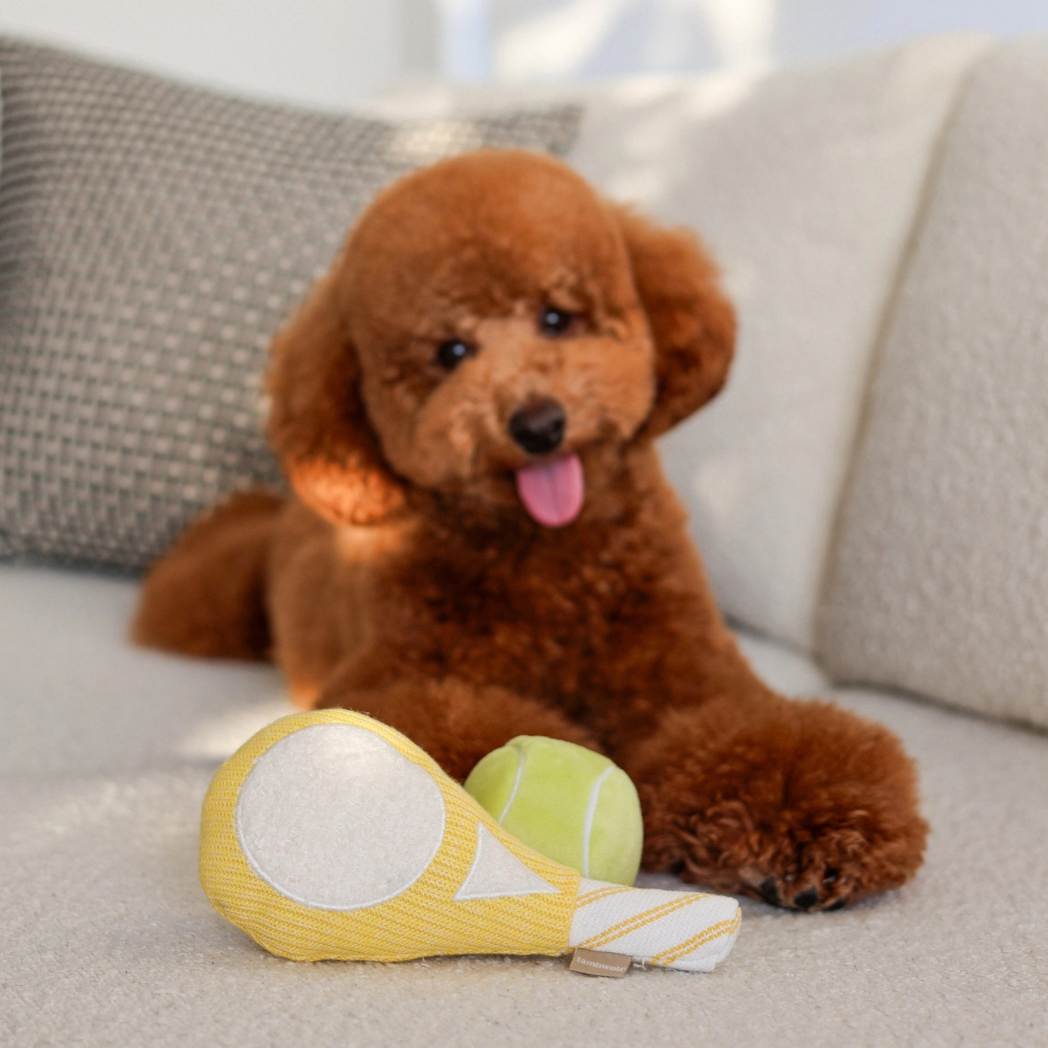 tennis pop toy | lambwolf co