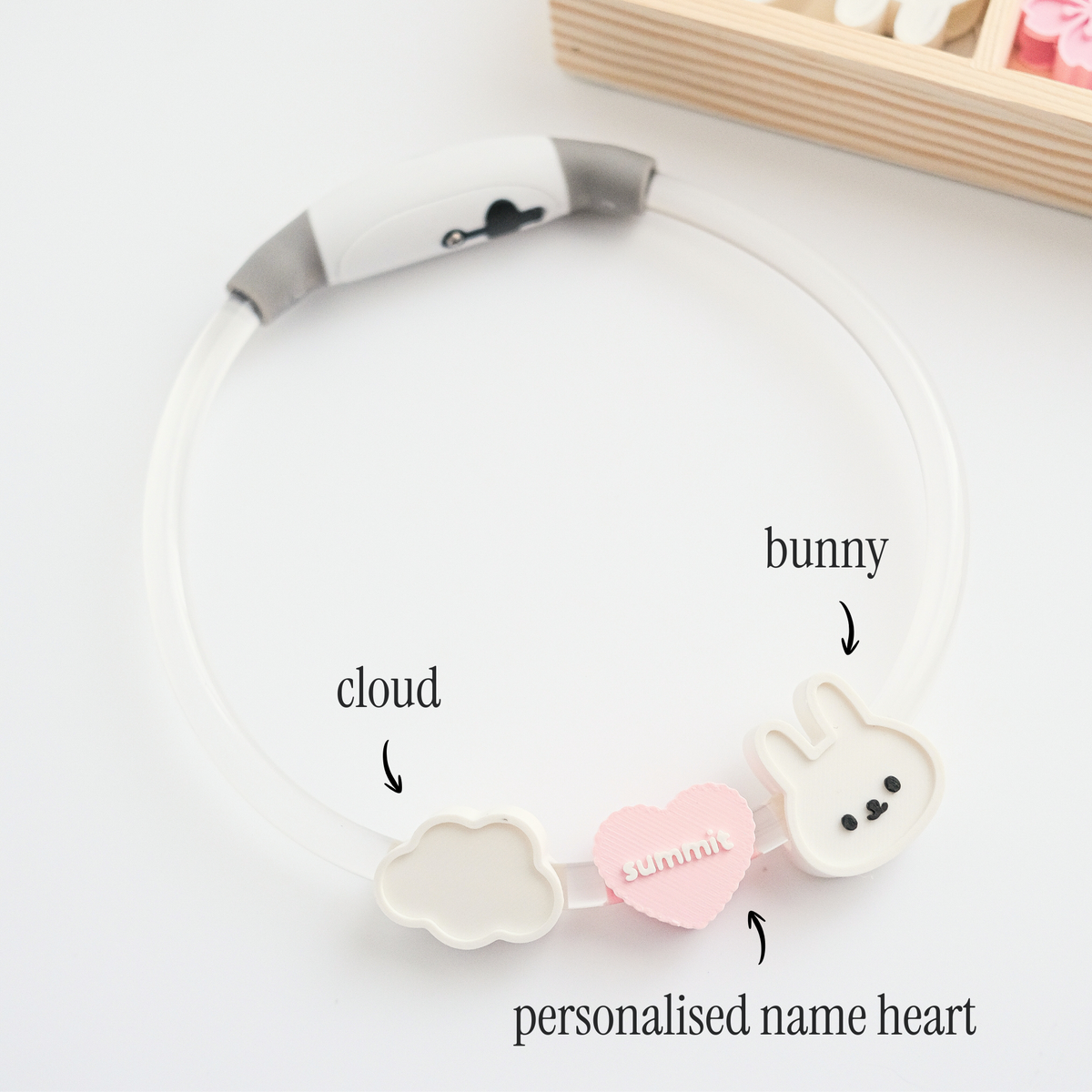 Personalised LED Night Collar Set