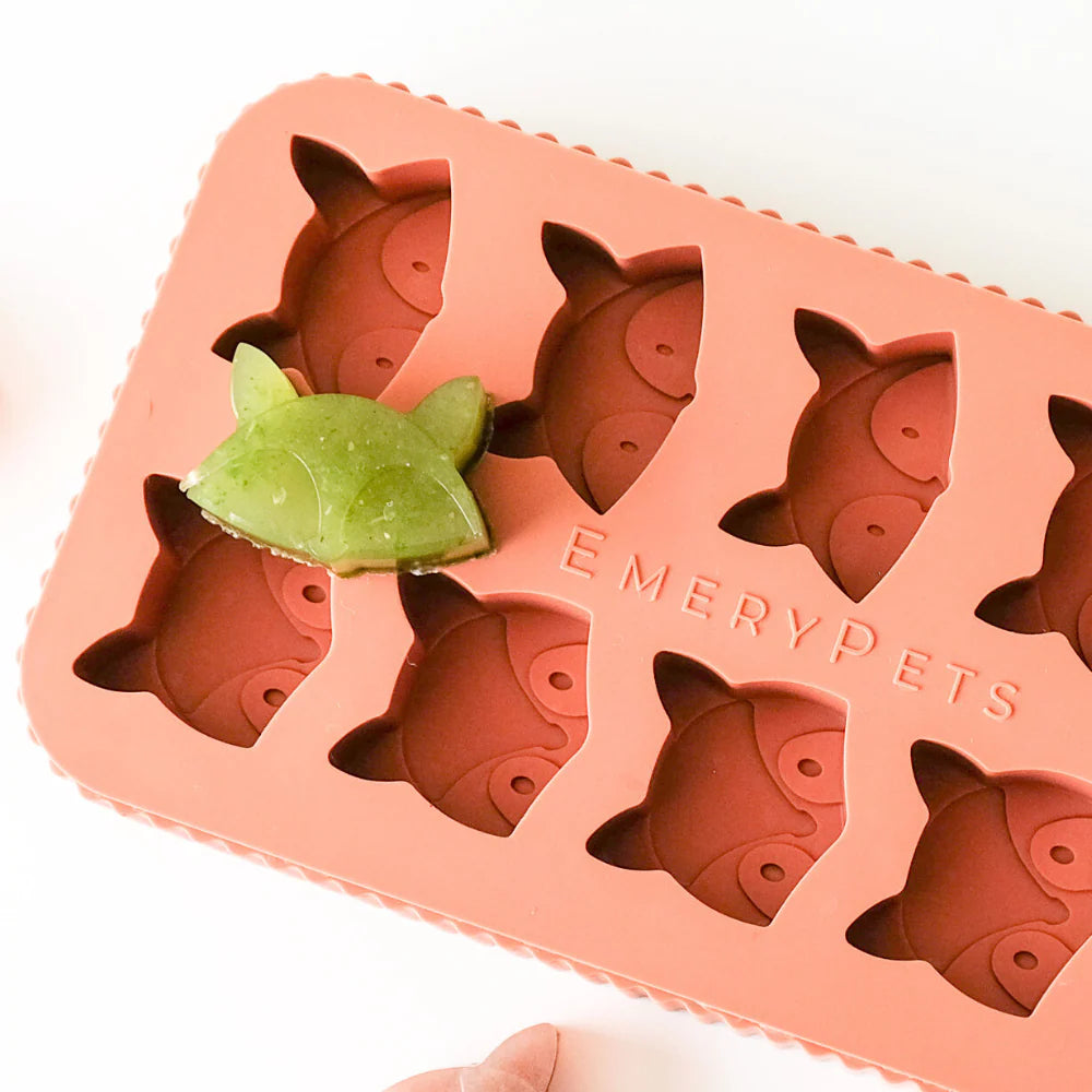 fox + racoon treat mold | emerypets