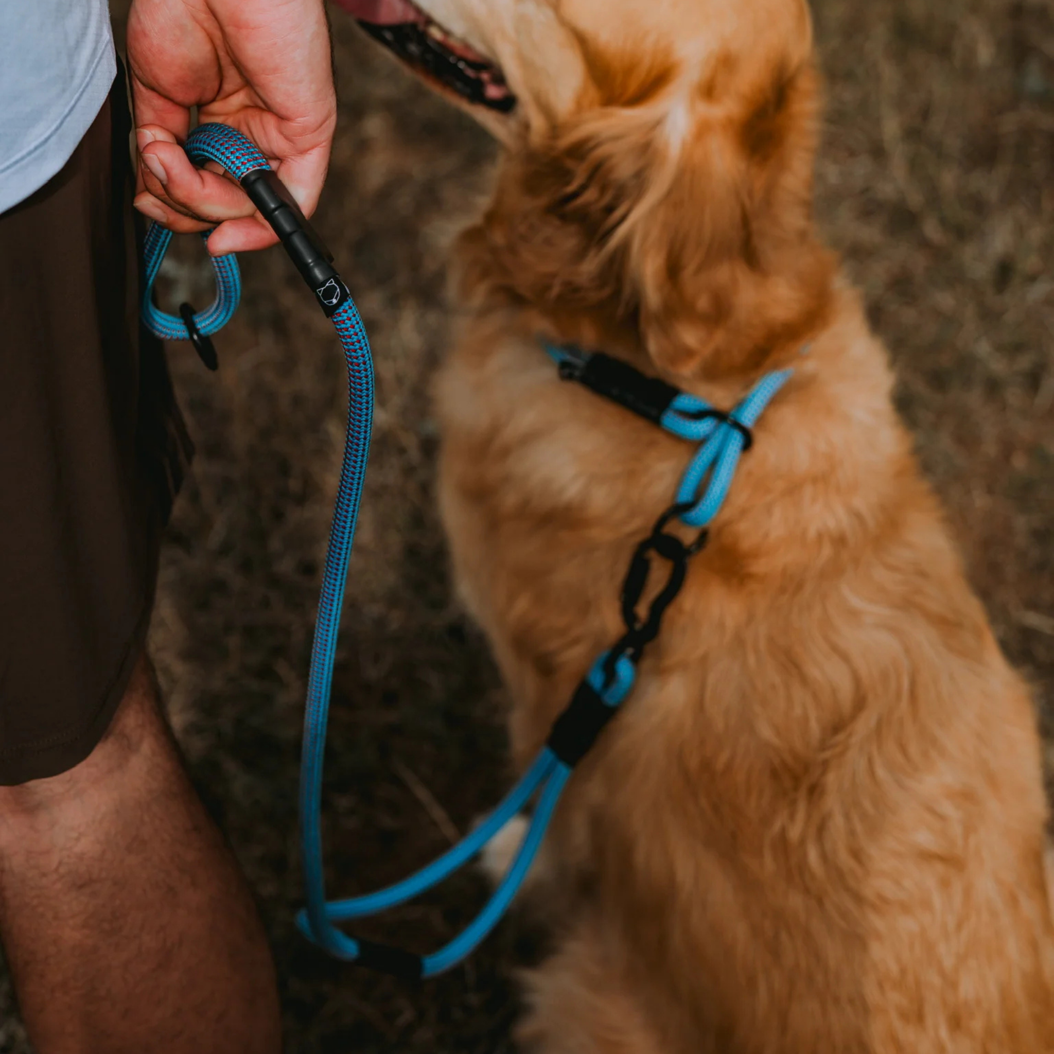 litto howler adjustable hands-free leash | 9/10mm