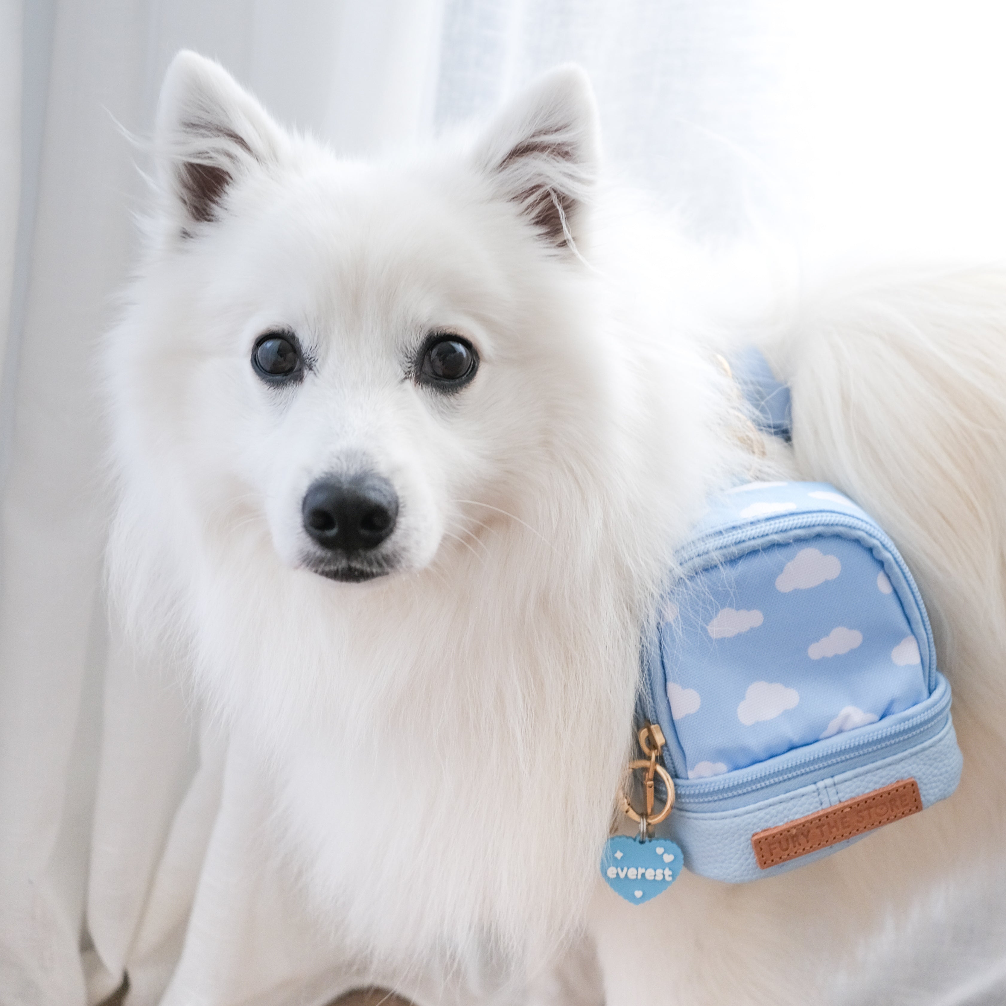 everest’s mini day pack