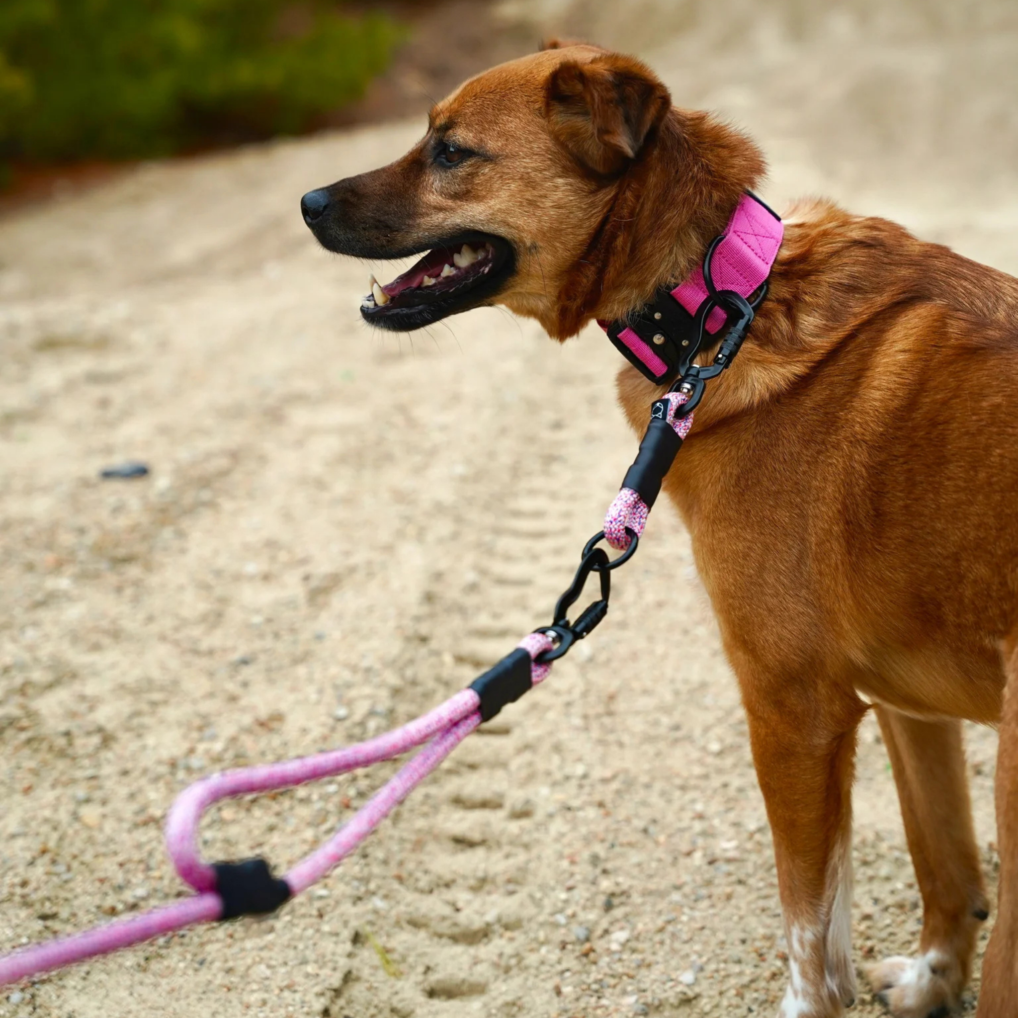 litto howler adjustable hands-free leash | 9/10mm