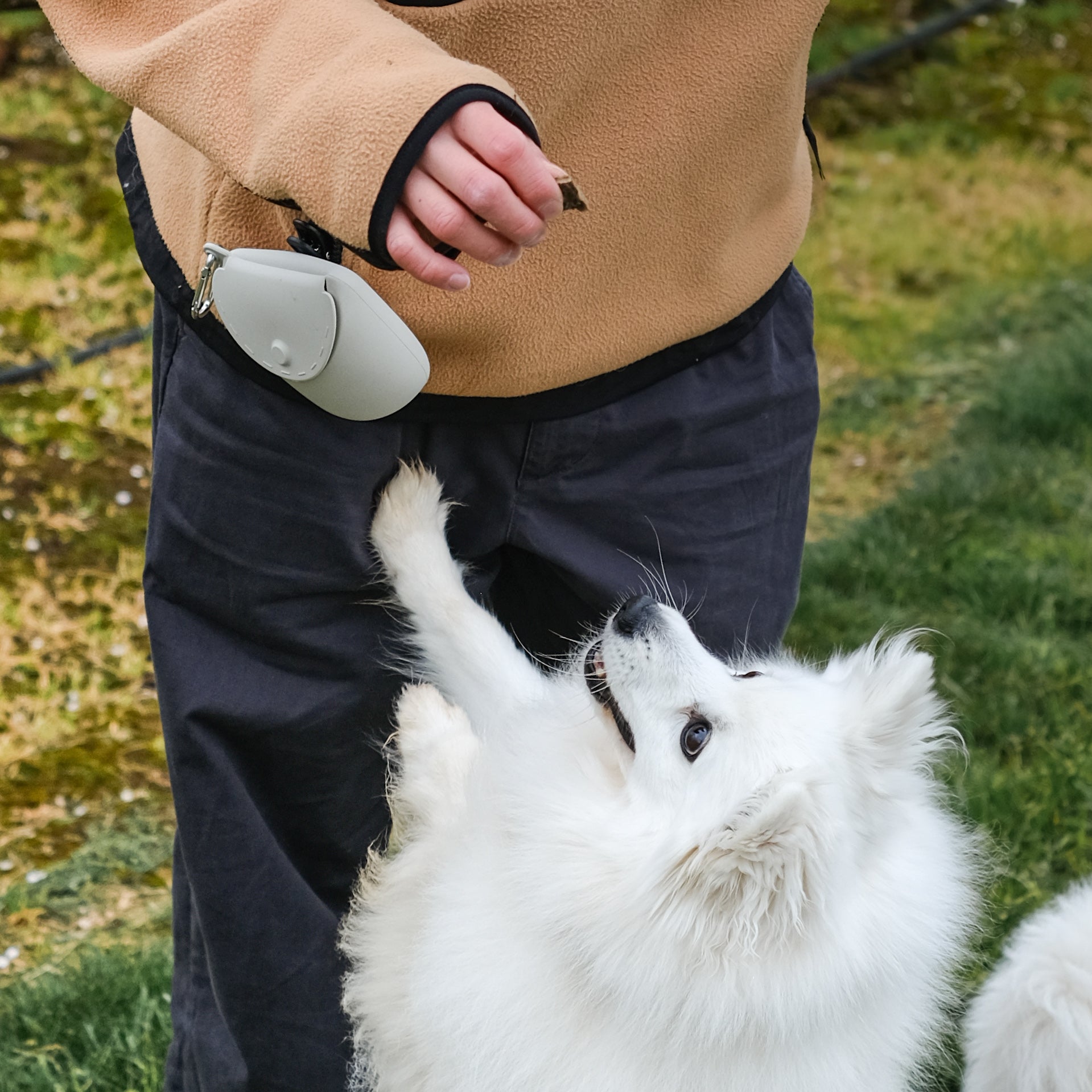 the training pouch