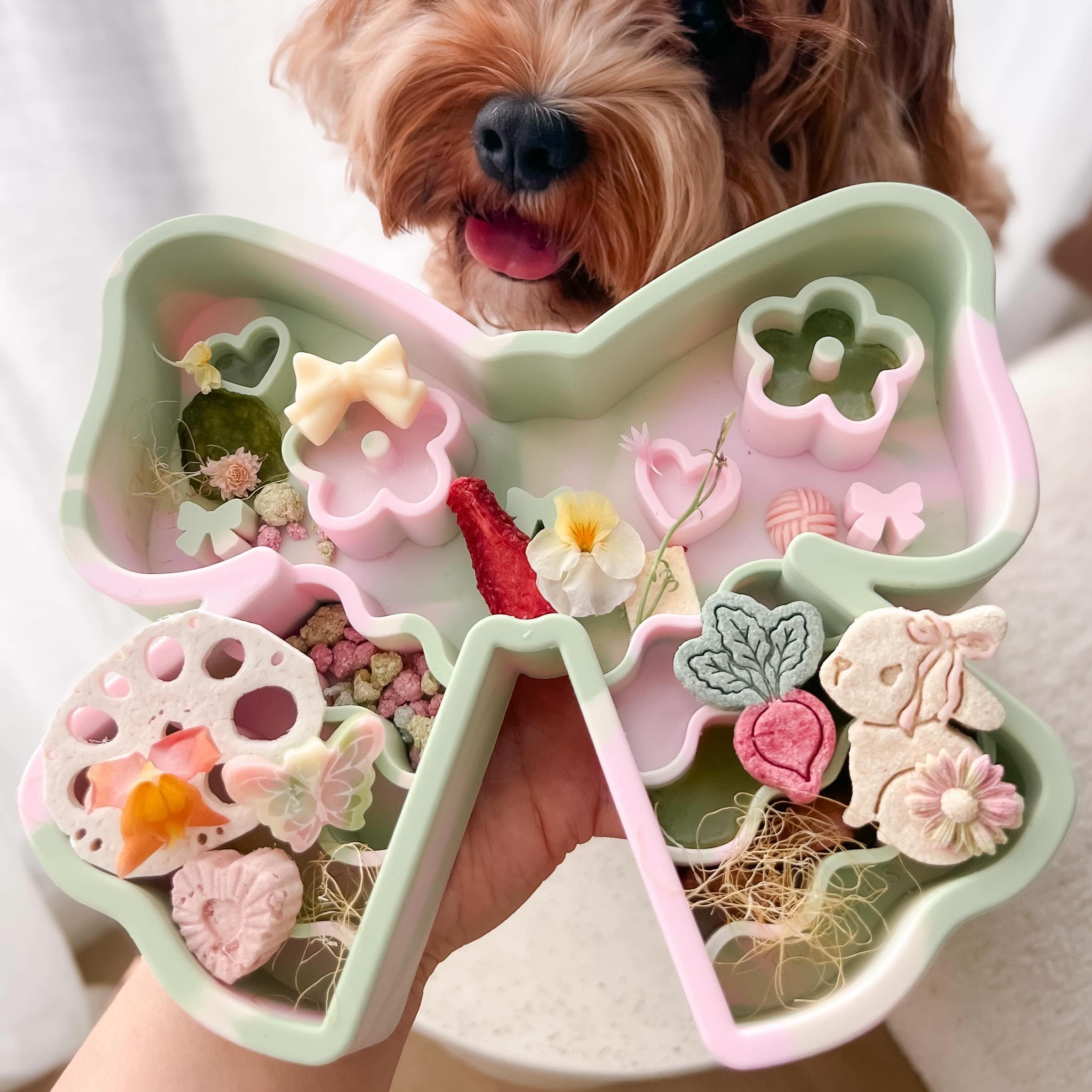 coquette forage feeder in strawberry matcha