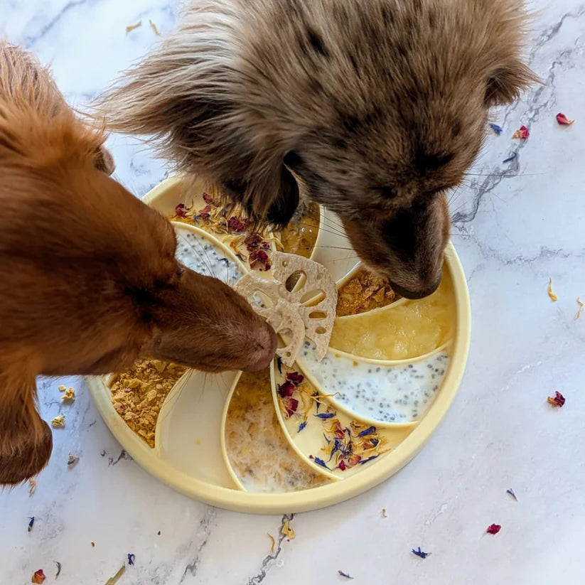 wheelies lick mat & lid | ollie b good