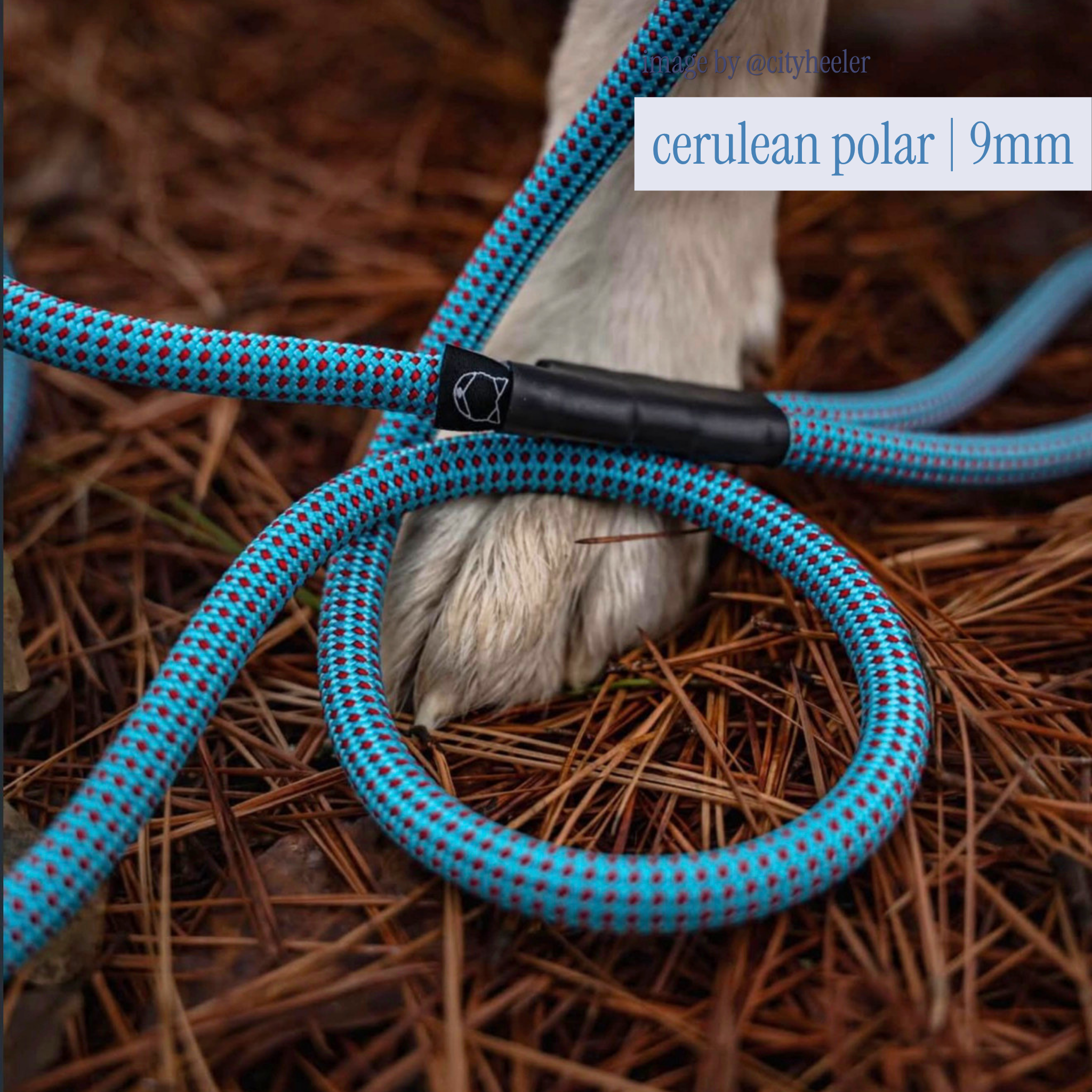 litto howler adjustable hands-free leash | 9/10mm