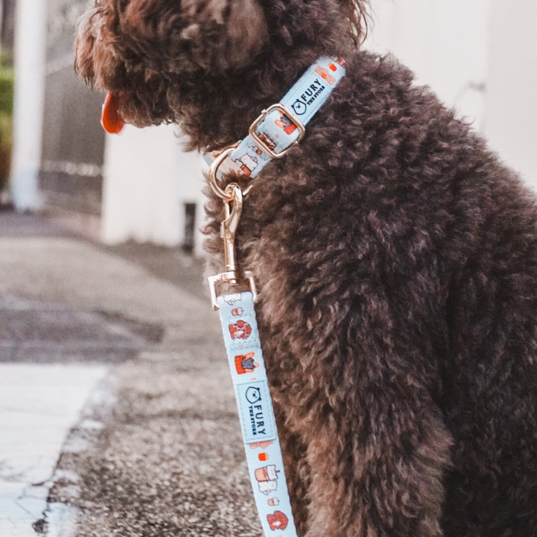 'fury&friends in nyc' leash