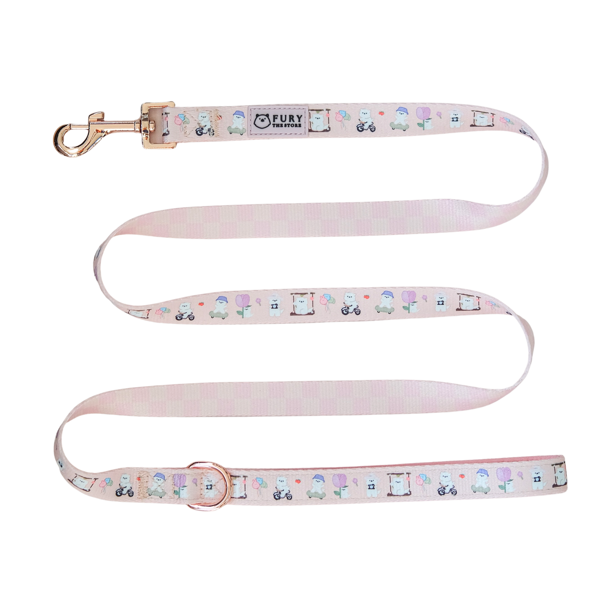 'summit in paris' leash