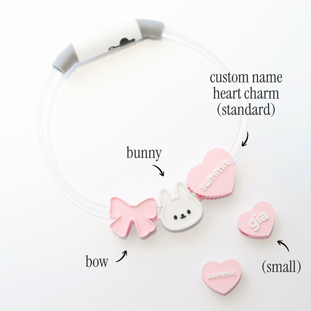 Personalised LED Night Collar Set