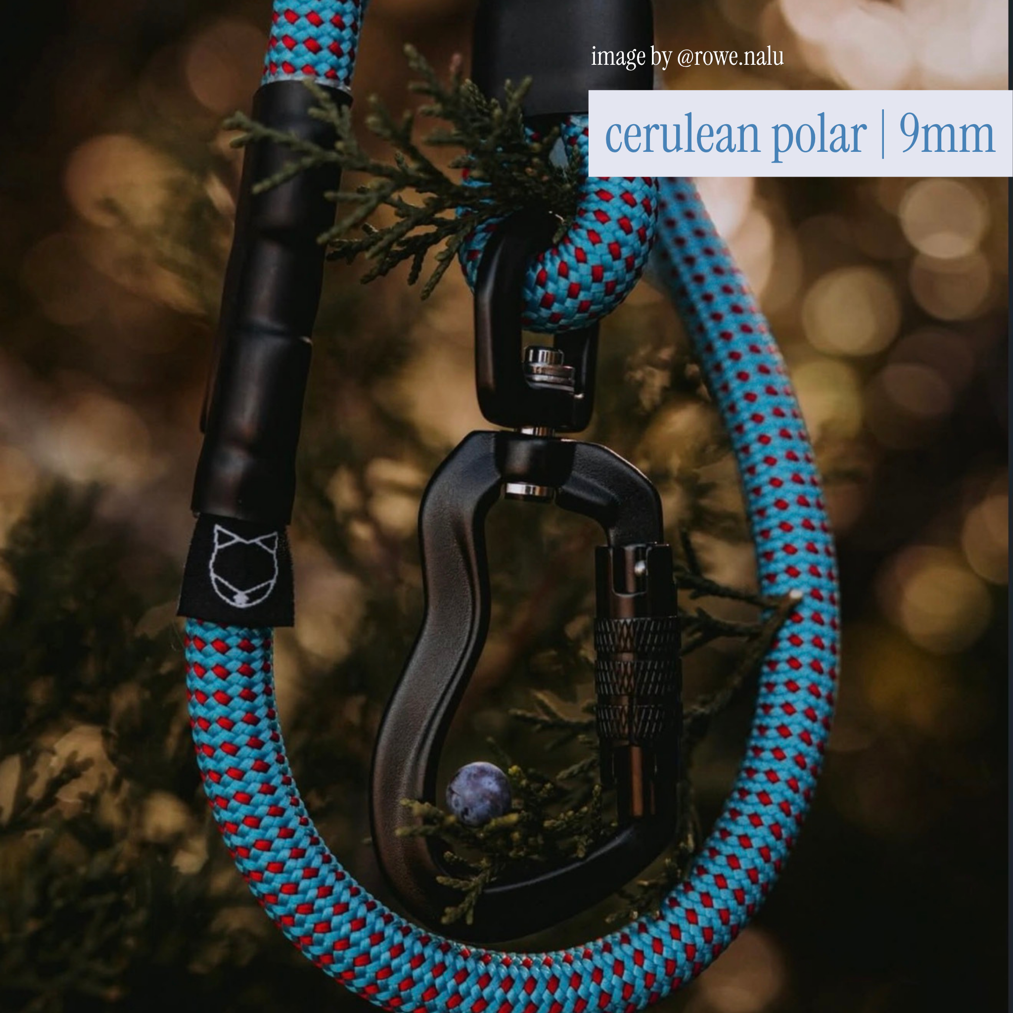 litto howler adjustable hands-free leash | 9/10mm