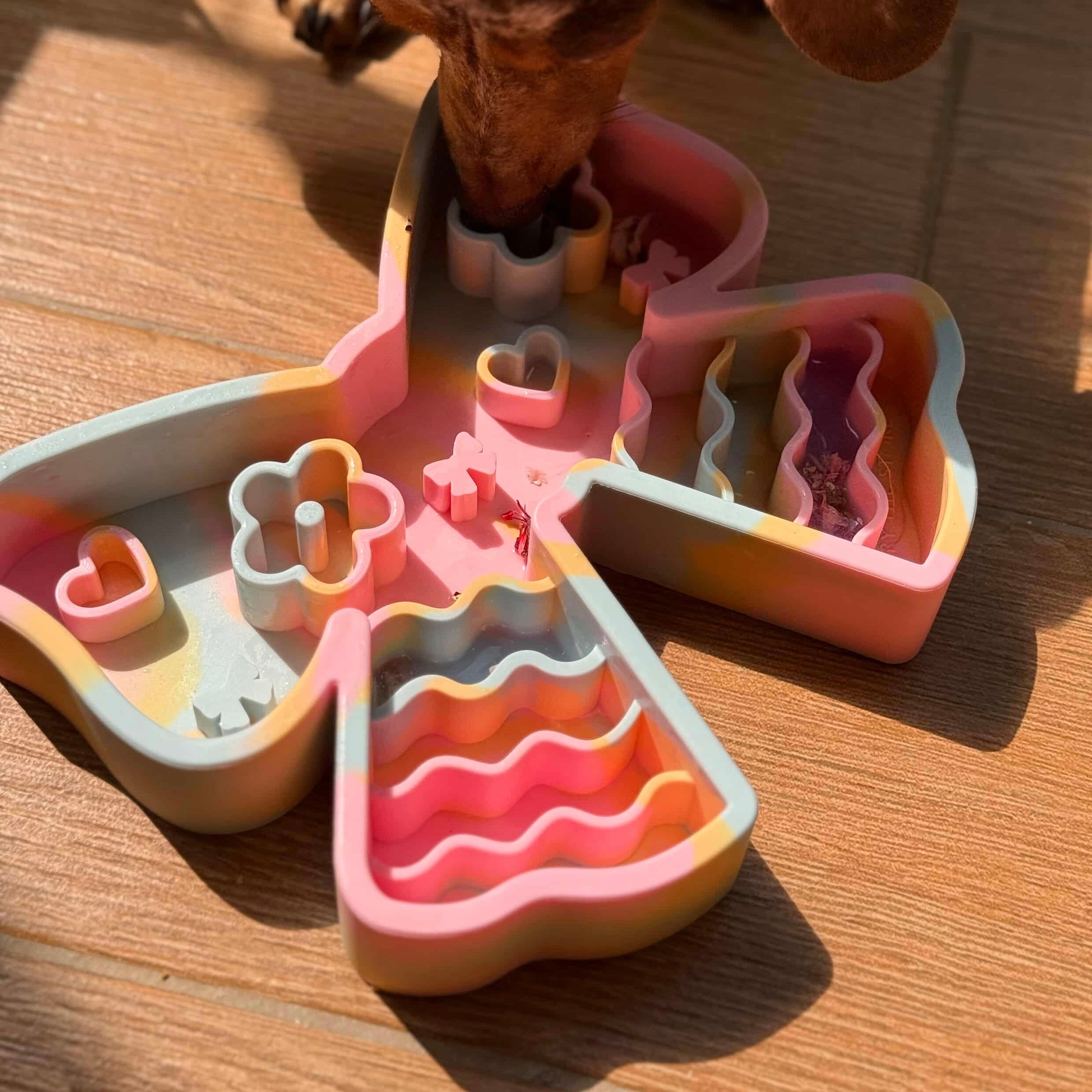 coquette forage feeder in paddle pop (sold out)
