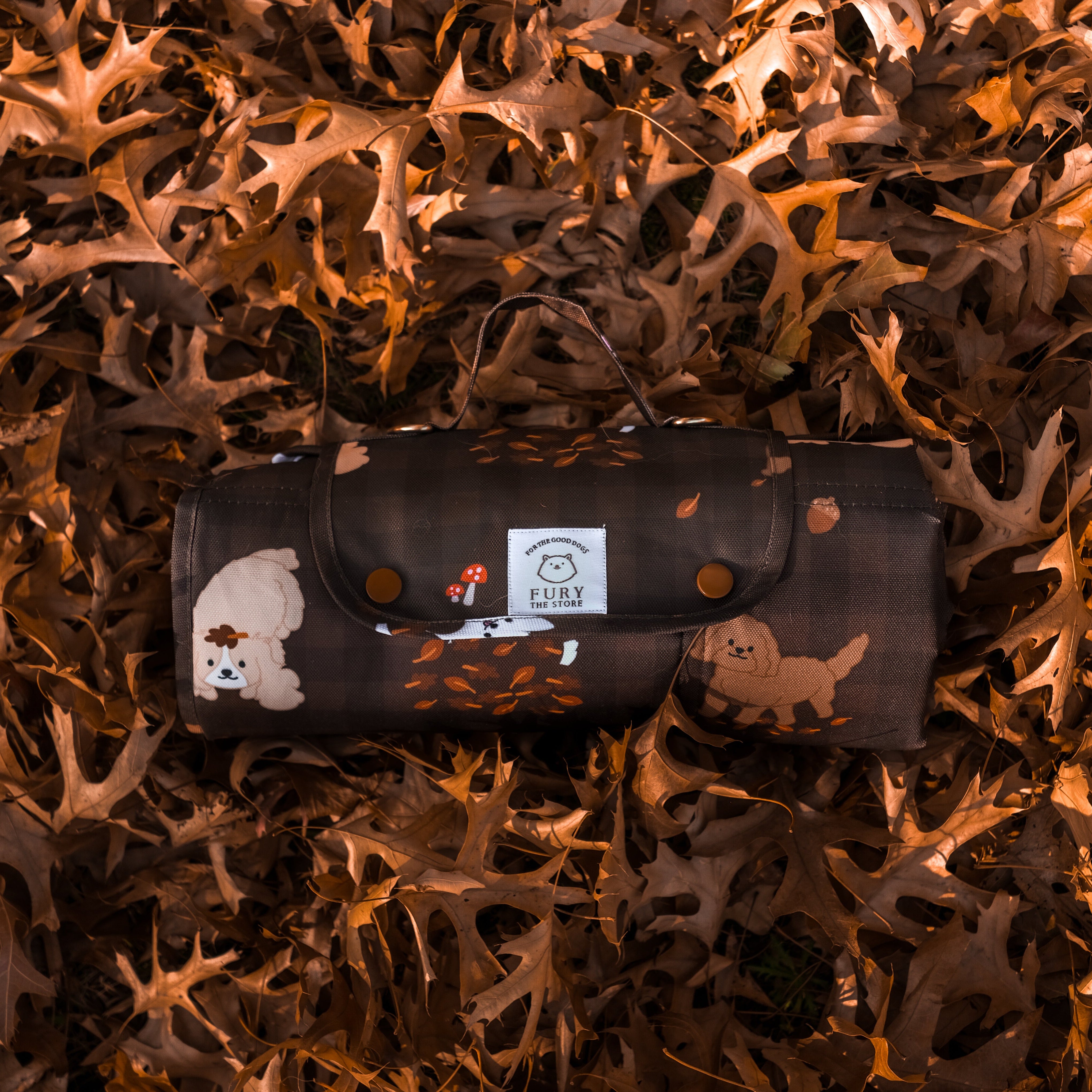 dogs in the woods settle mat (restock in june)