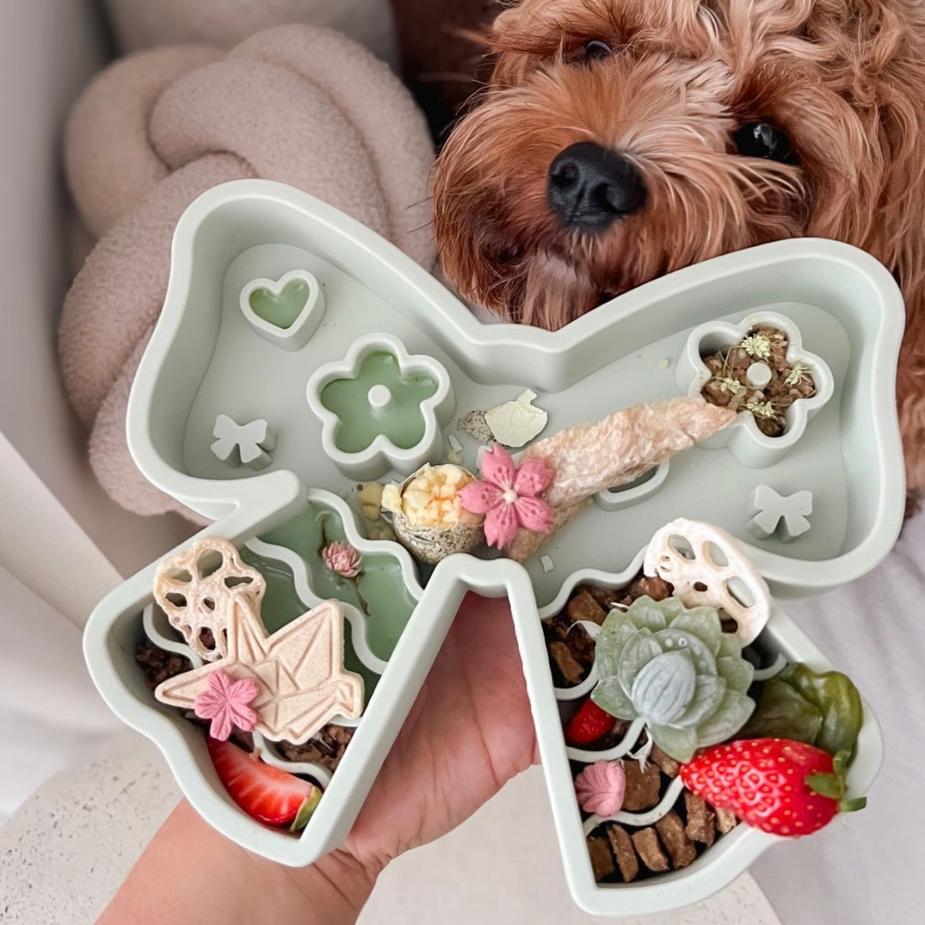 coquette forage feeder in matcha