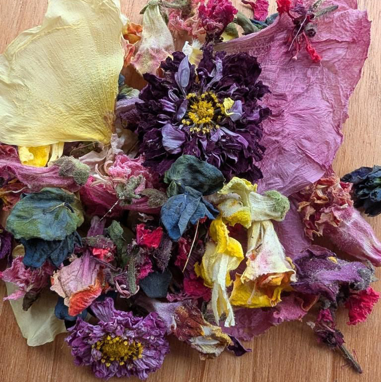 enchanted garden confetti | dogs in the meadow