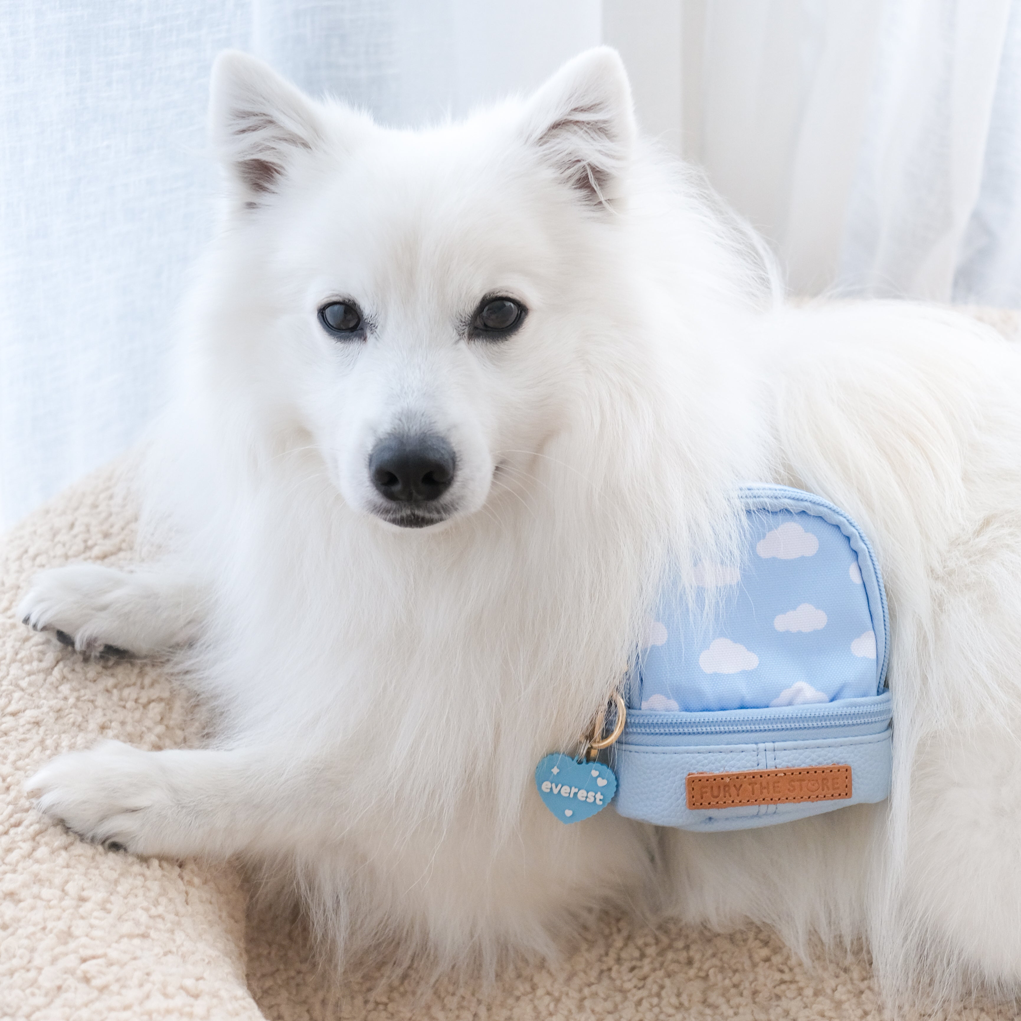 everest’s mini day pack