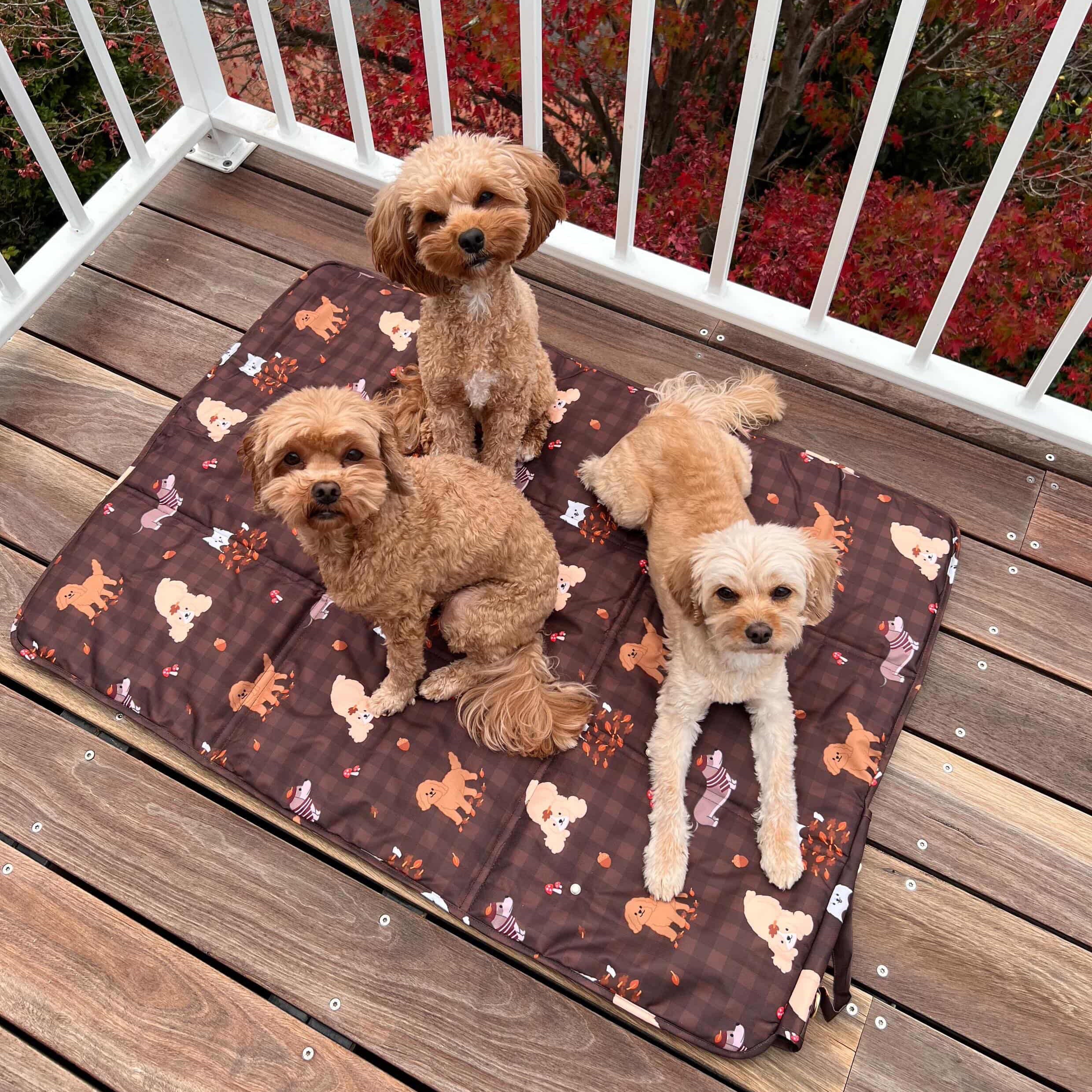 dogs in the woods settle mat (restock in june)