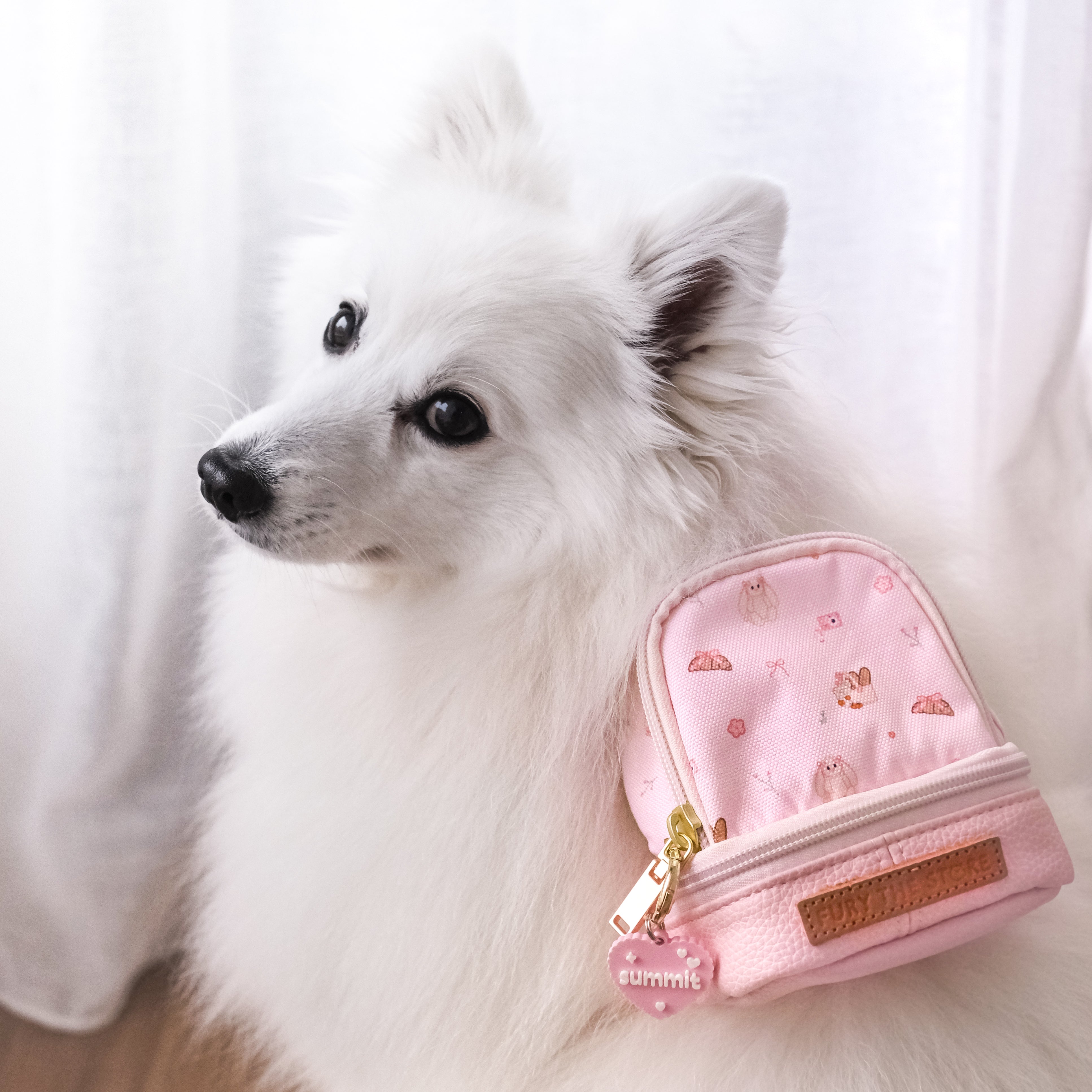 summit’s mini day pack
