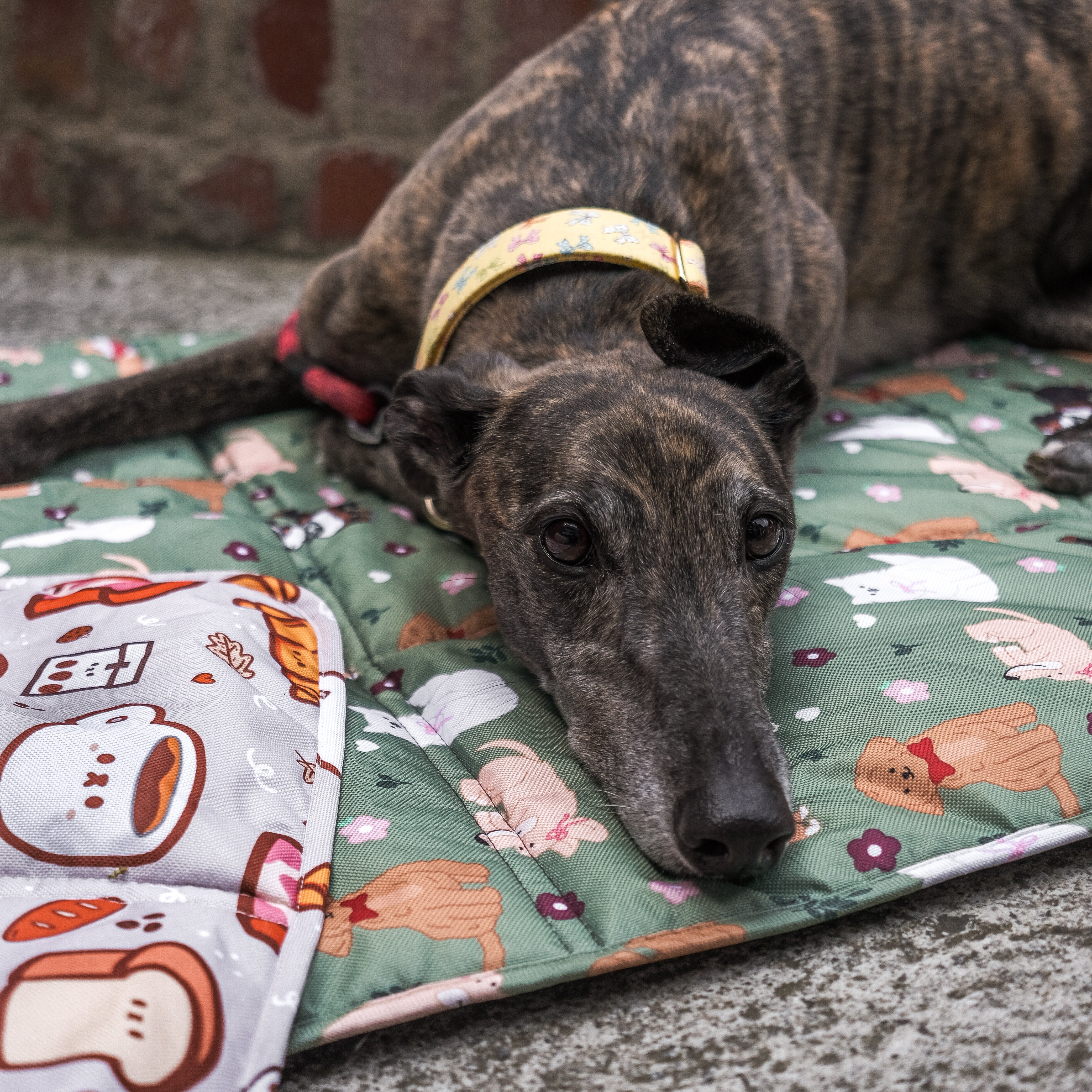 dogs at the park settle mat (bows edition)