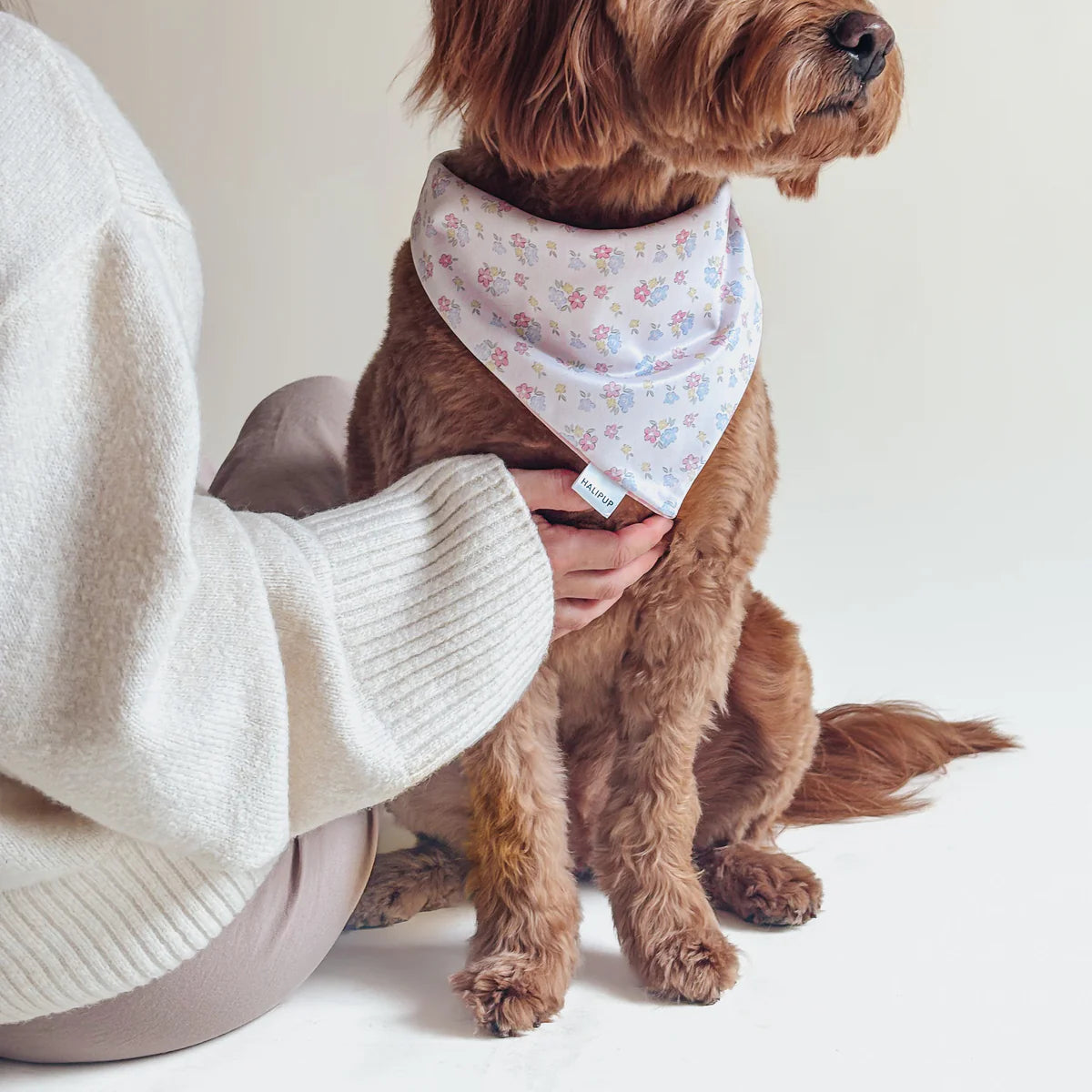 petals & polkas dog bandana | halipup