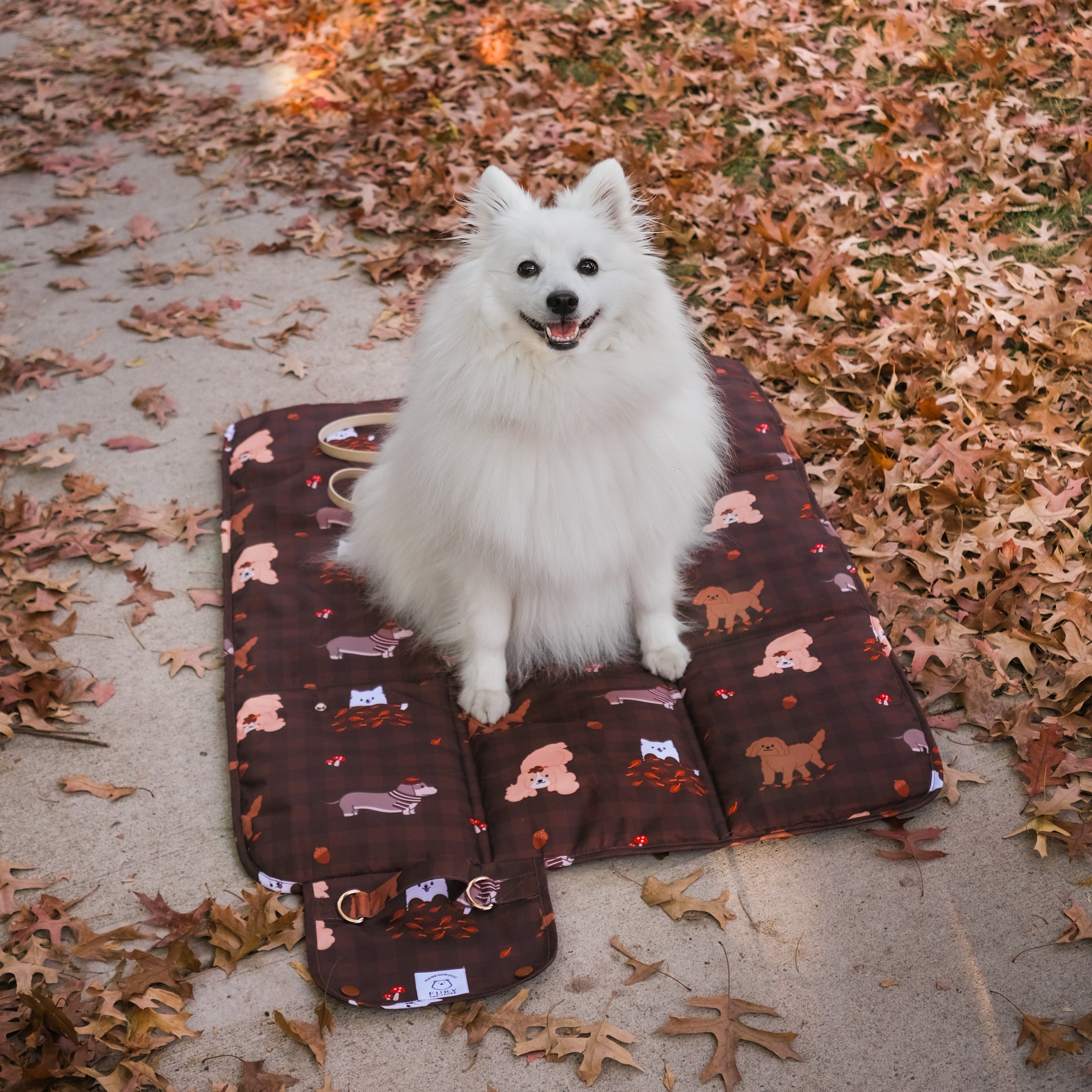dogs in the woods settle mat (restock in june)