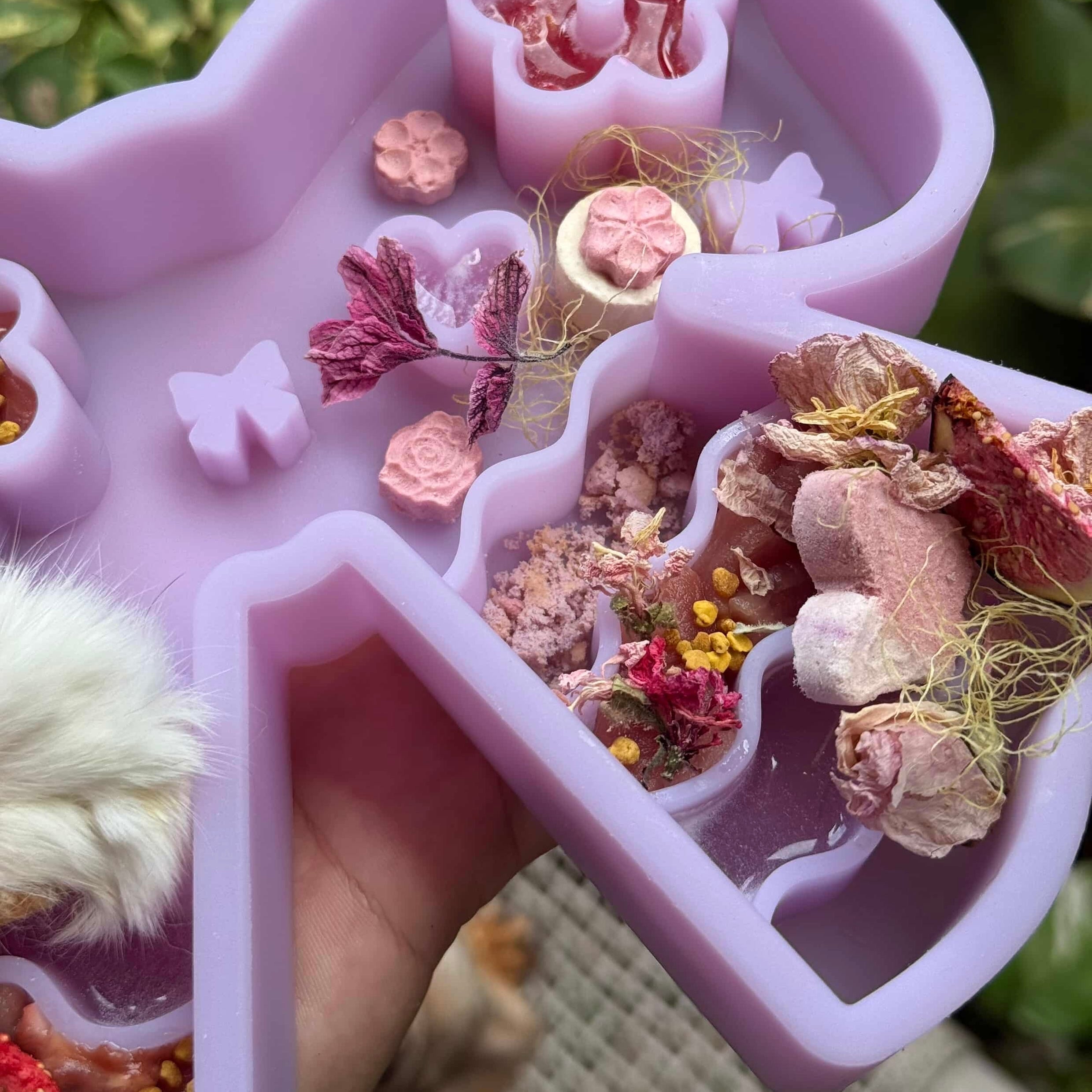 coquette forage feeder in aurora lilac