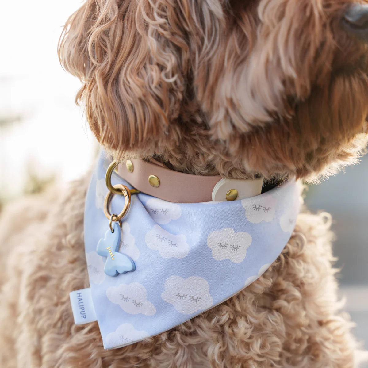 morning linen dog bandana