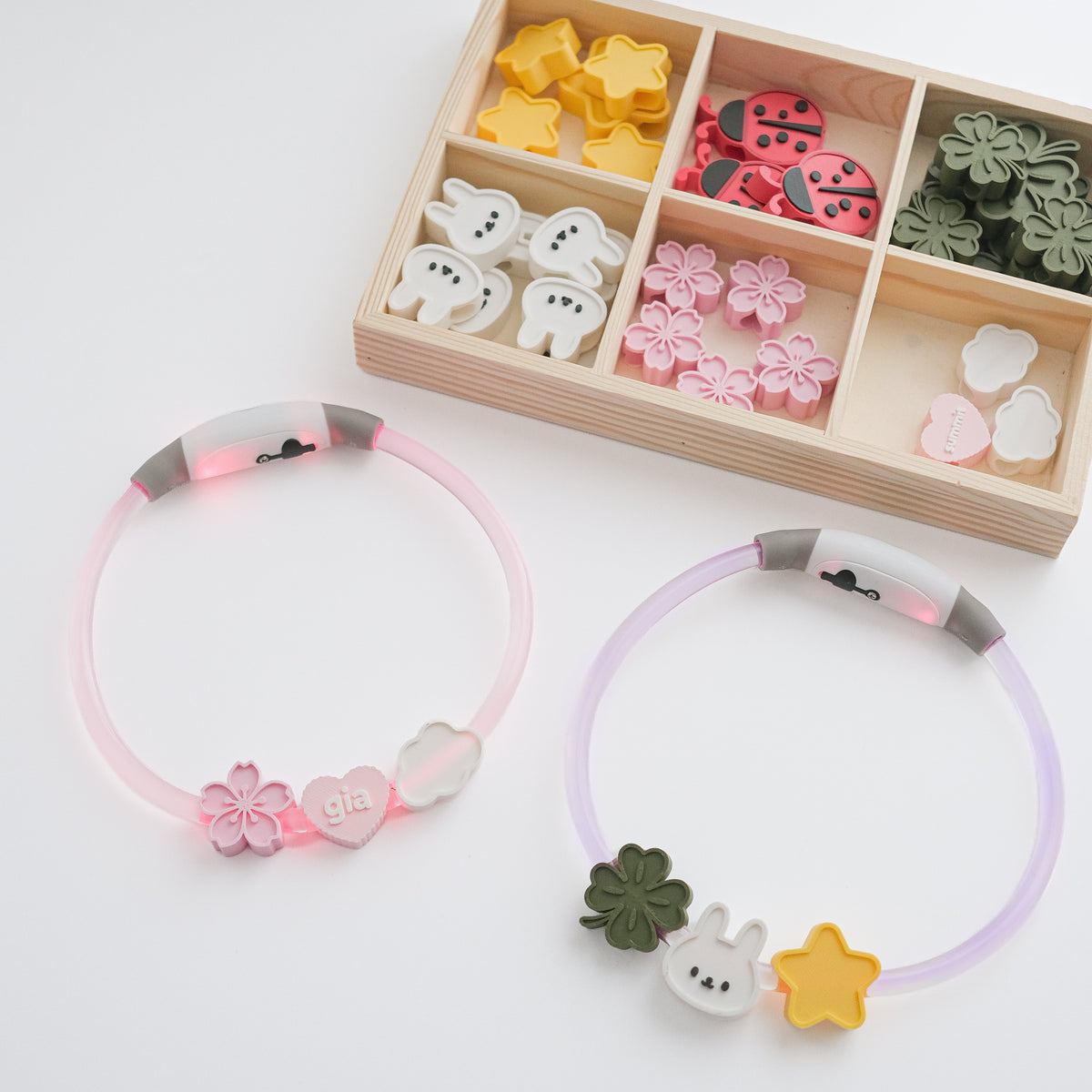 Personalised LED Night Collar Set