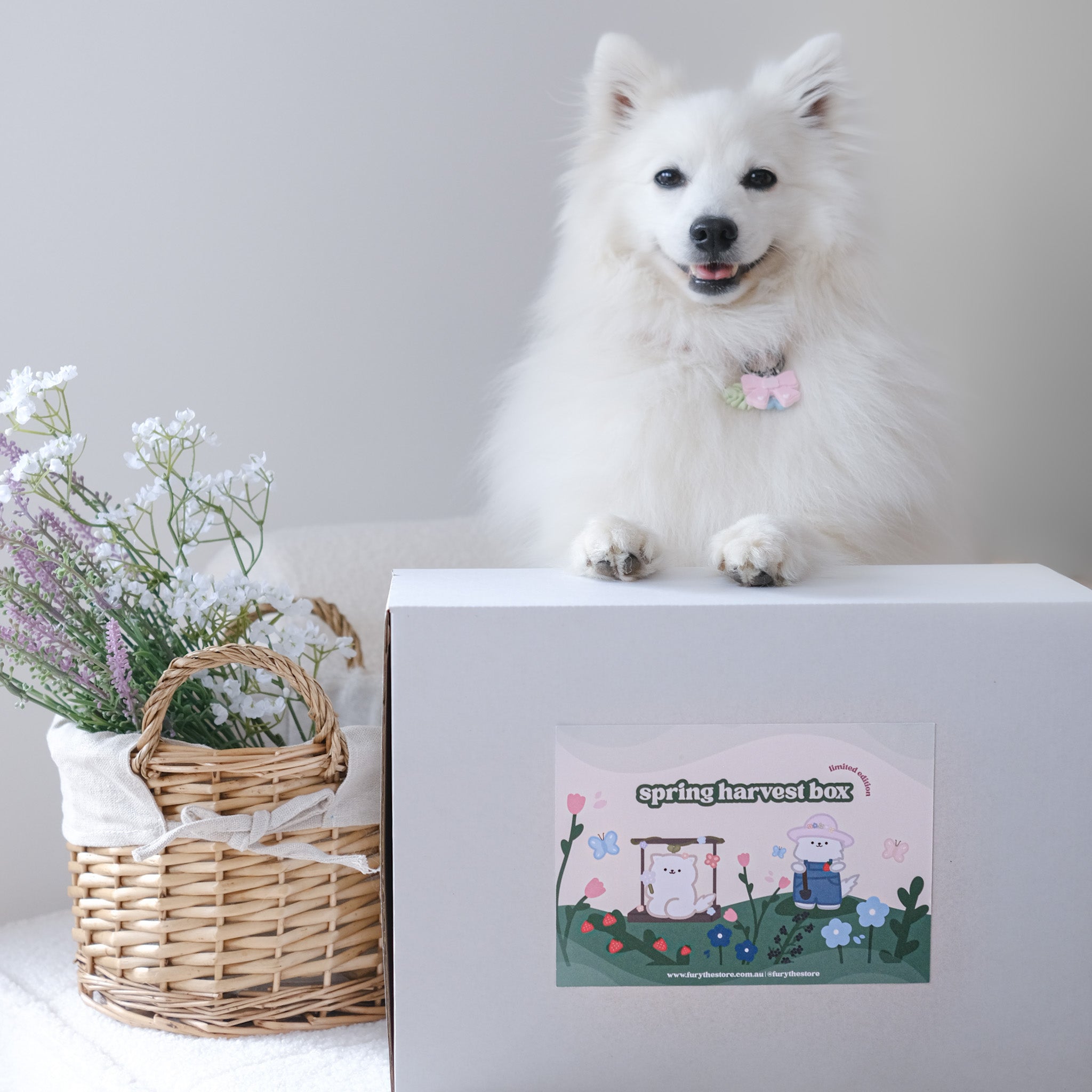 spring harvest box (limited edition!)