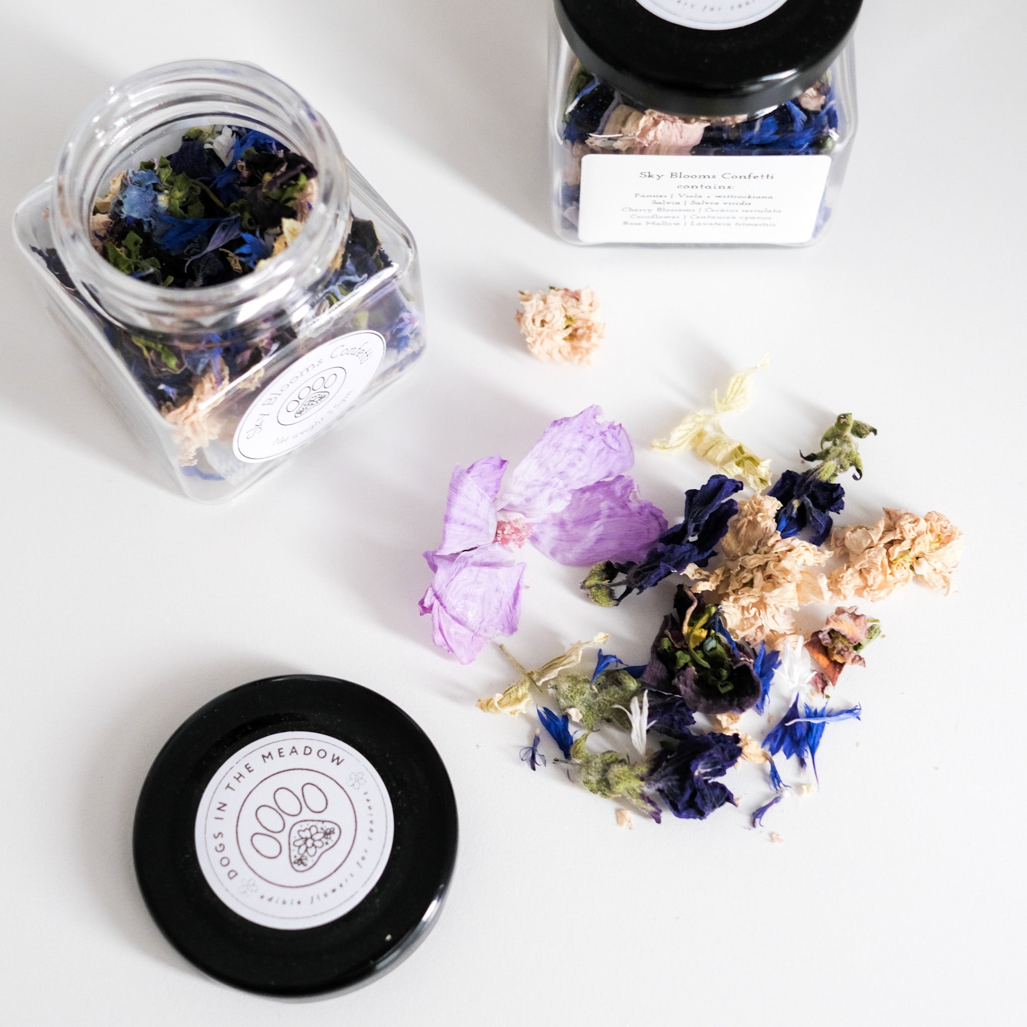 sky blooms confetti | dogs in the meadow