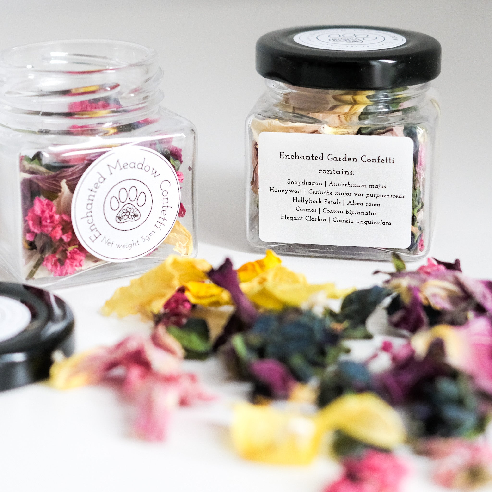 enchanted garden confetti | dogs in the meadow