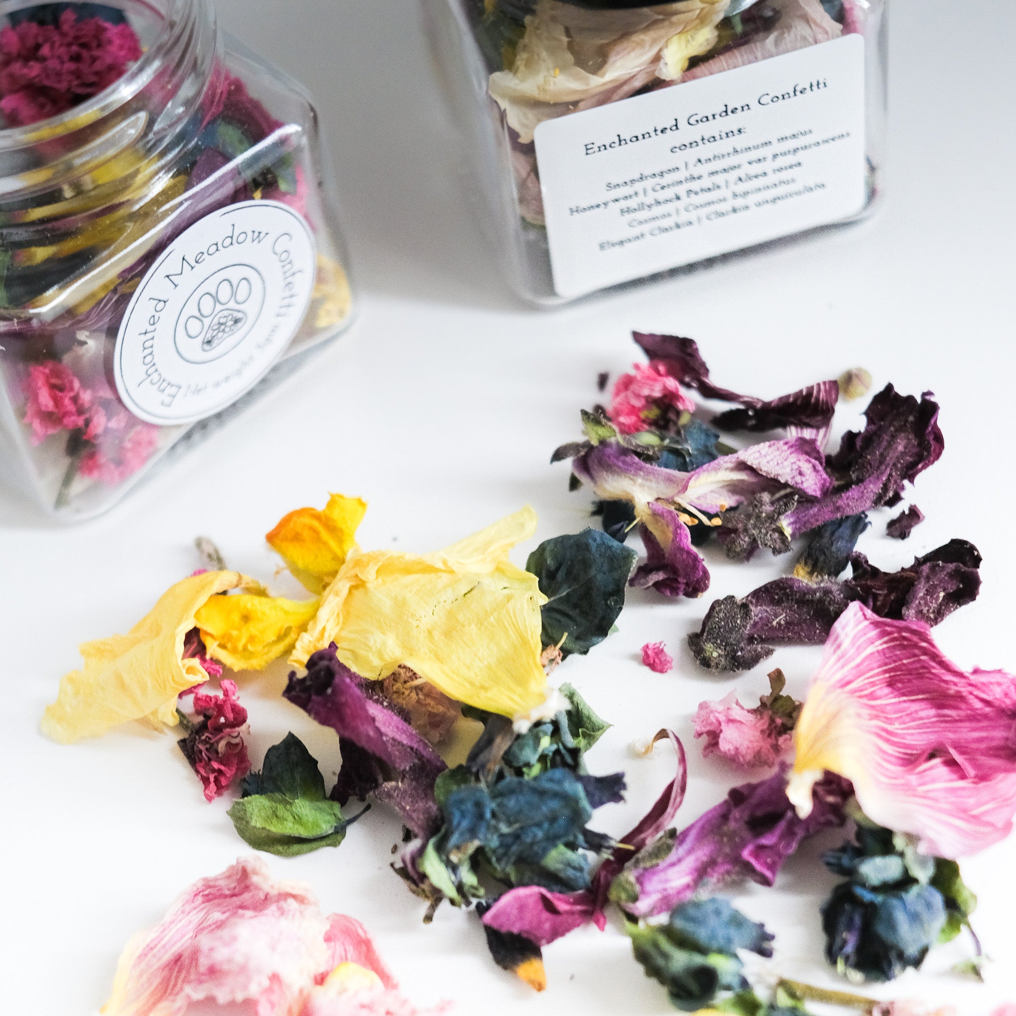 enchanted garden confetti | dogs in the meadow