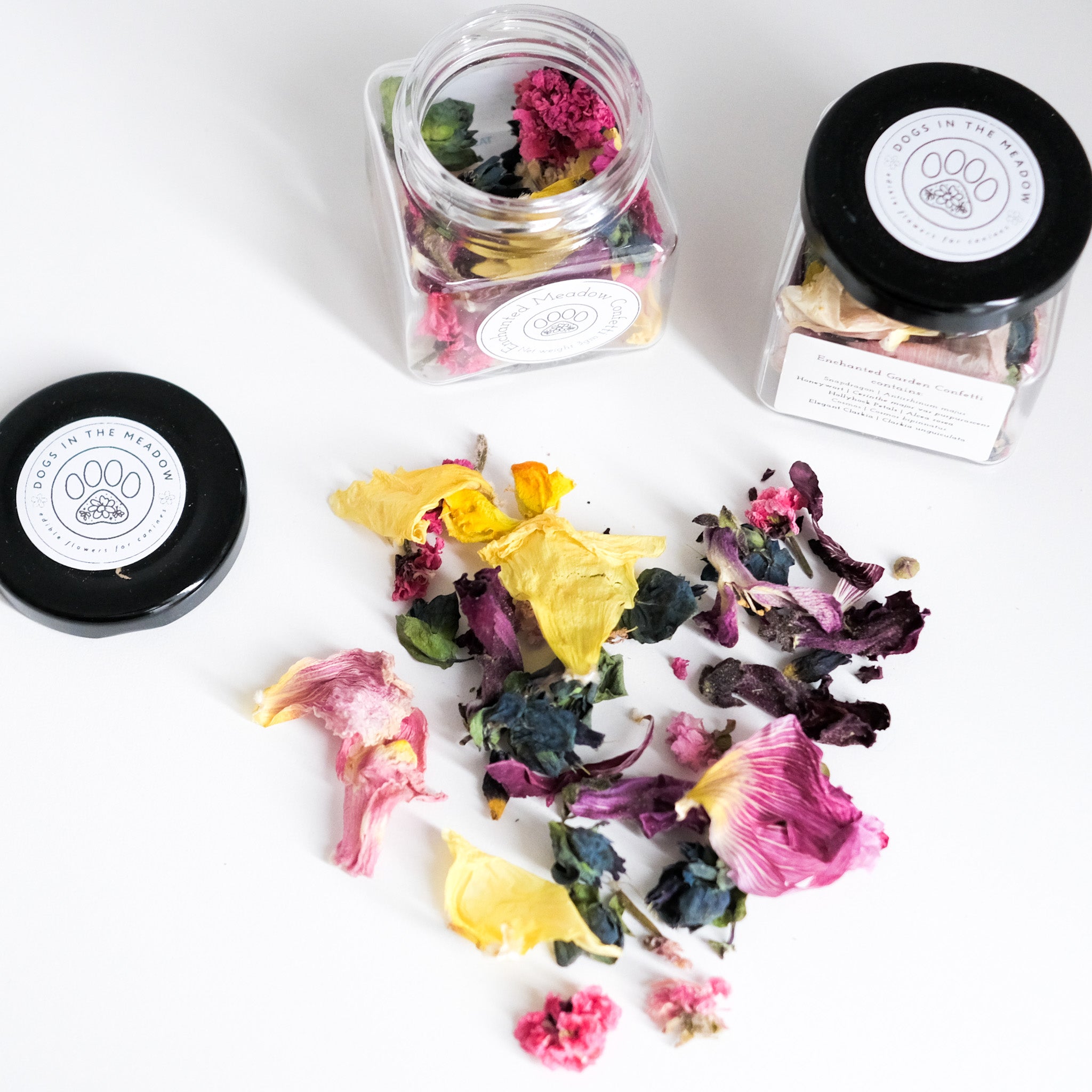 enchanted garden confetti | dogs in the meadow