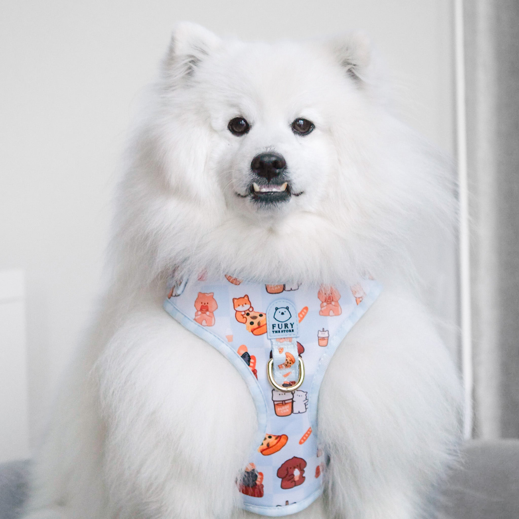 'fury&friends in nyc' harness