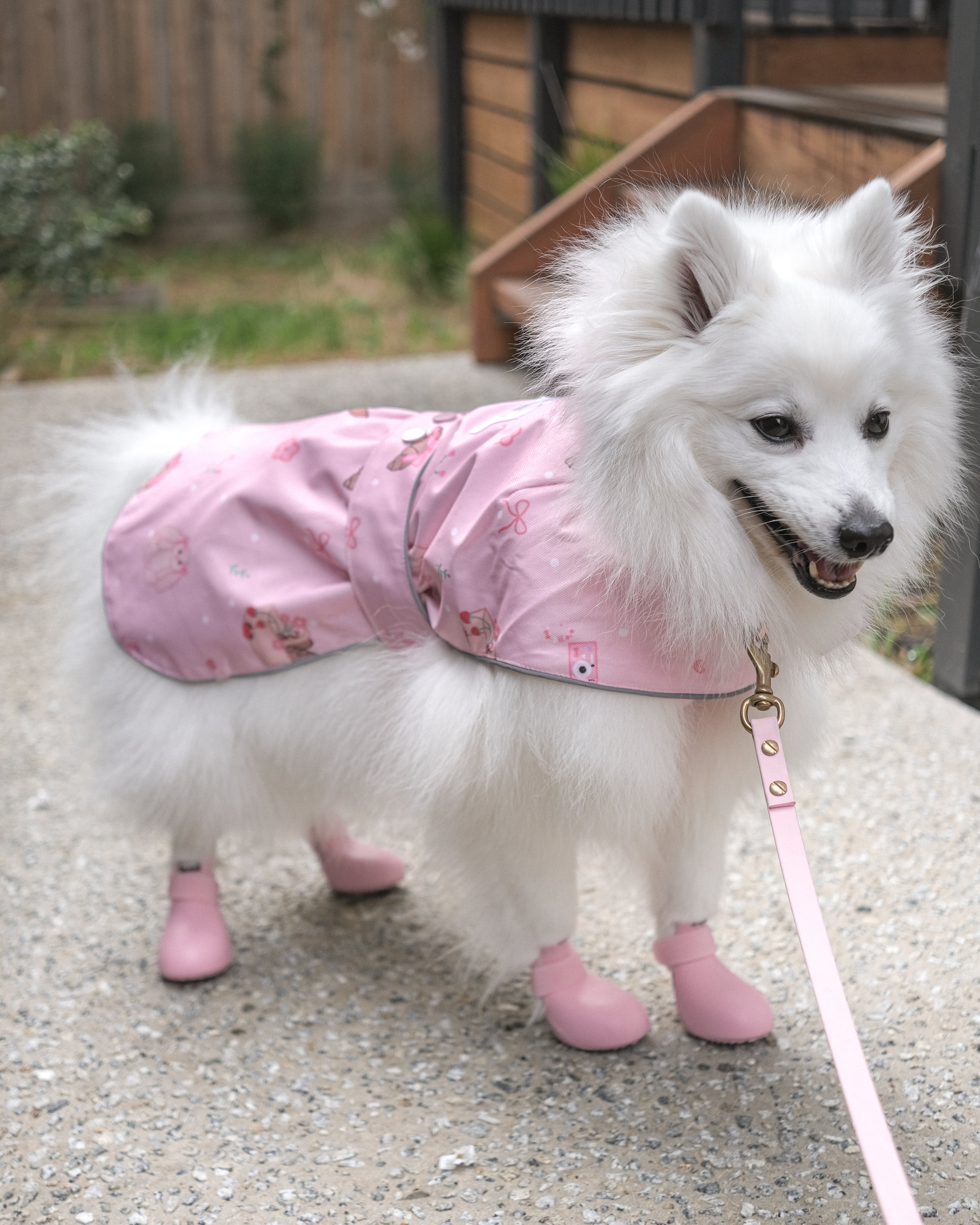 the good girl reversible raincoat