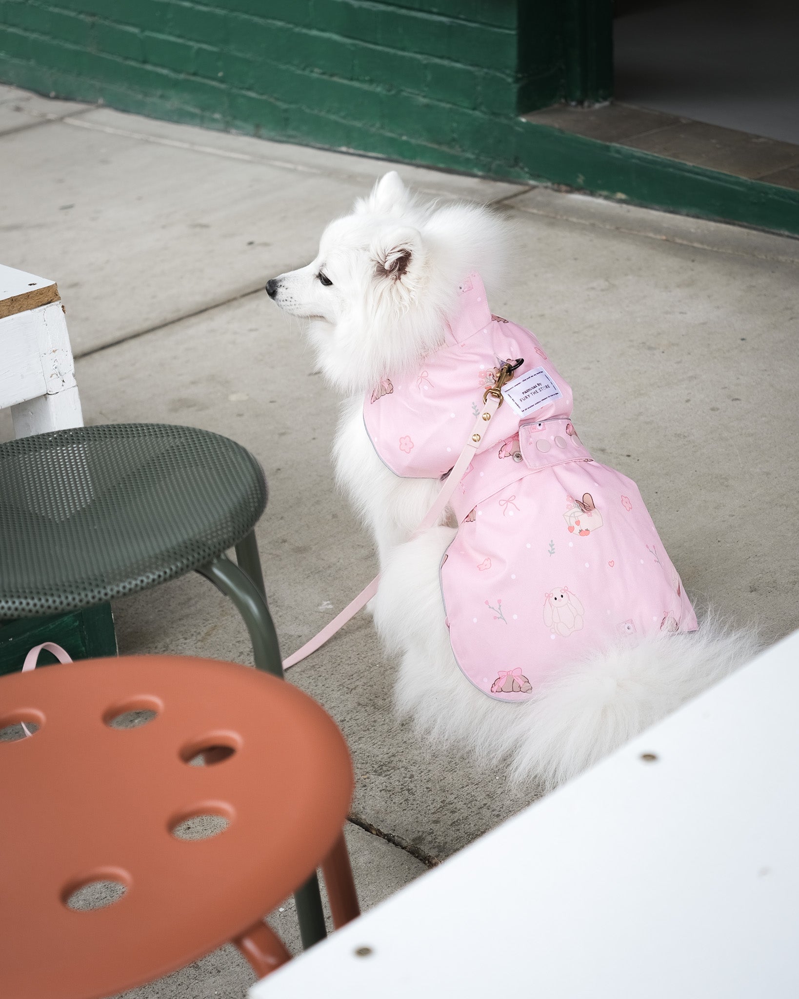 the good girl reversible raincoat