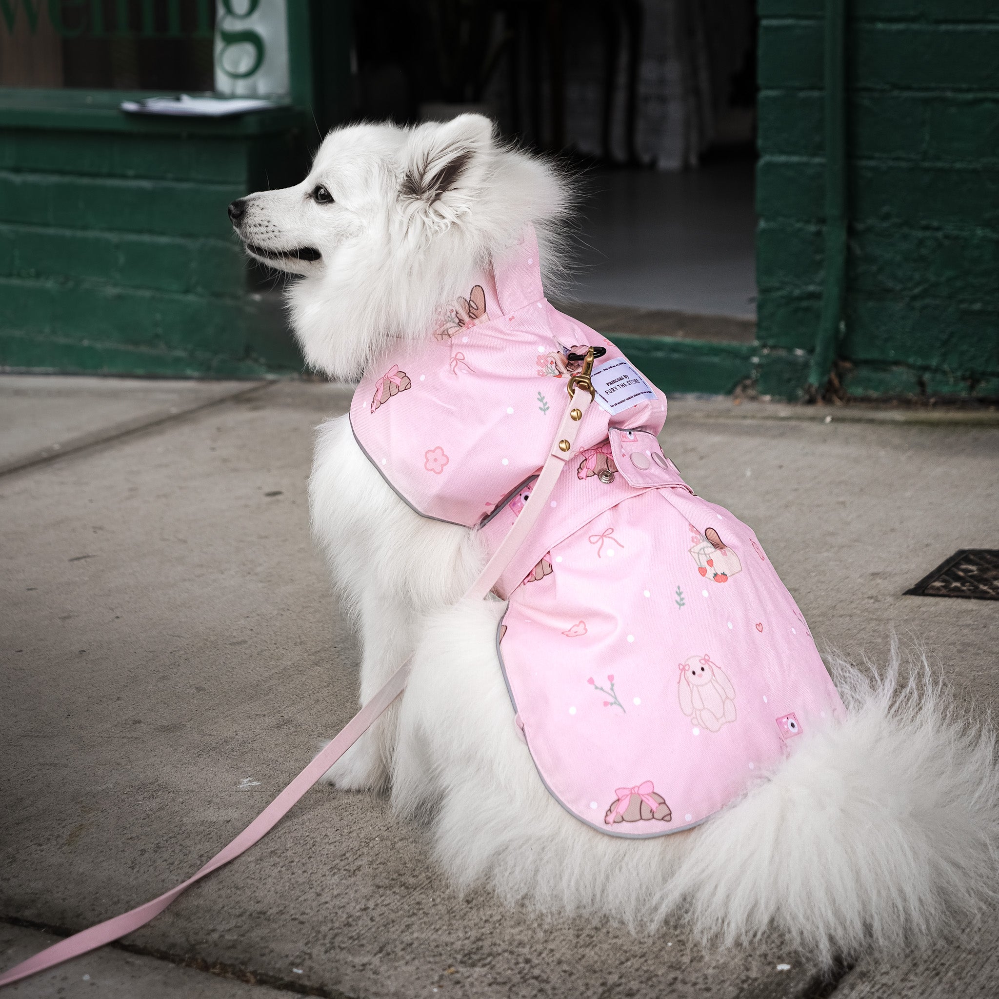 the good girl reversible raincoat