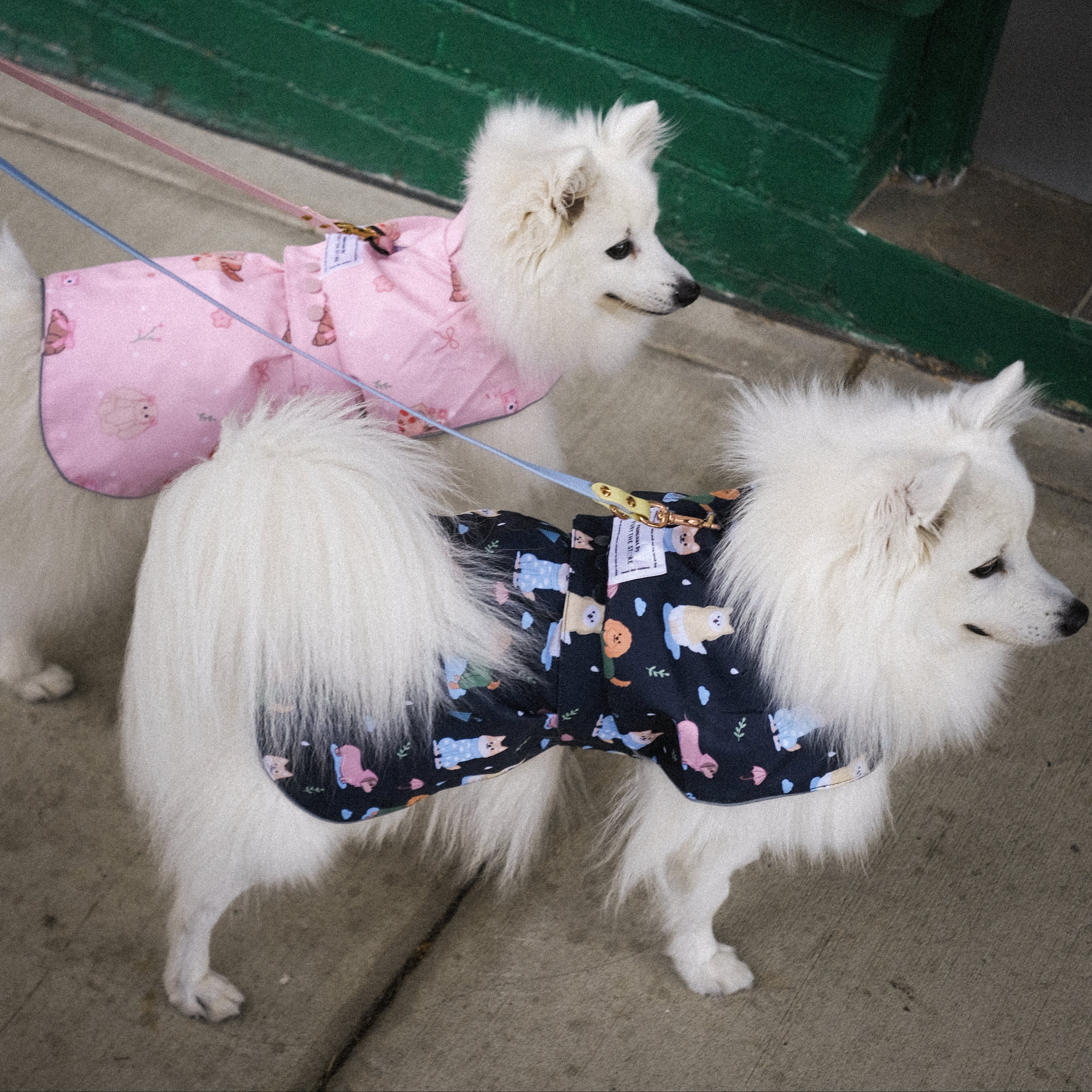 the good girl reversible raincoat