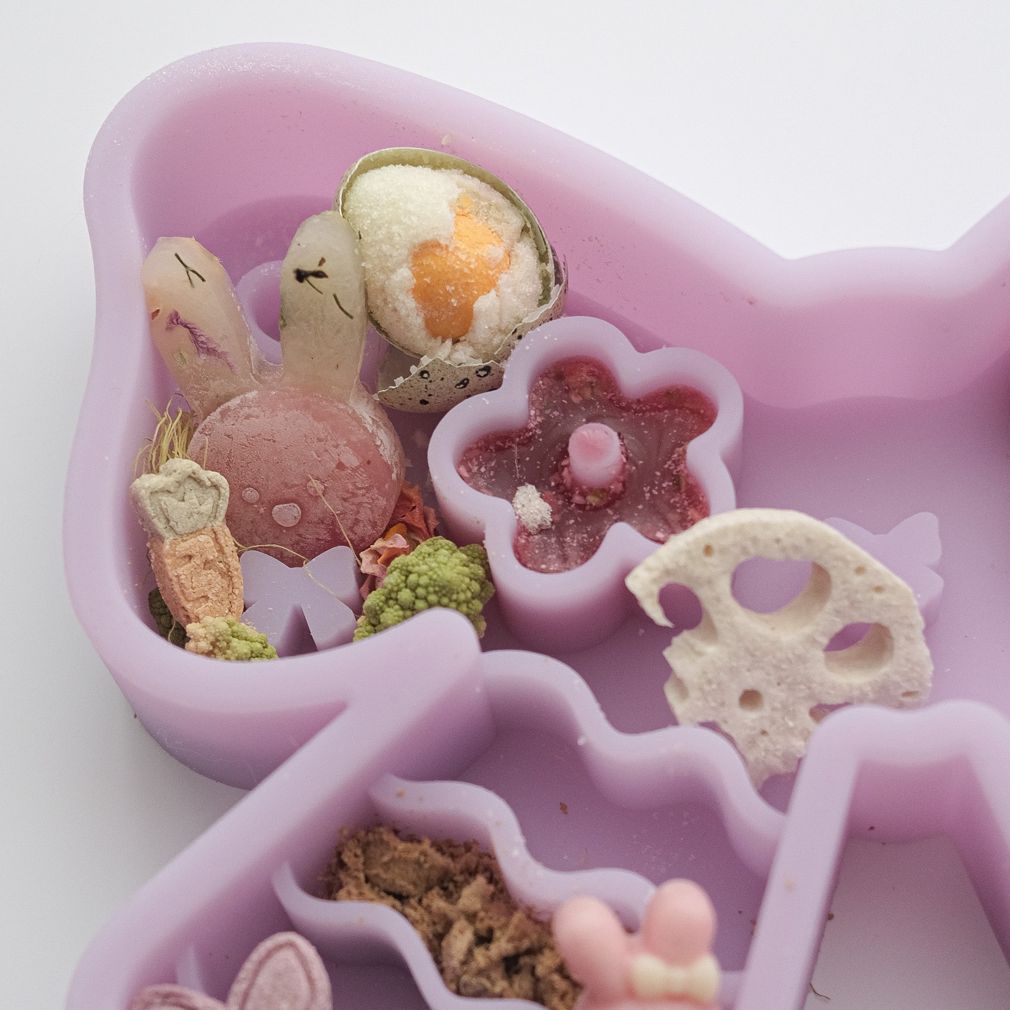 coquette forage feeder in aurora lilac