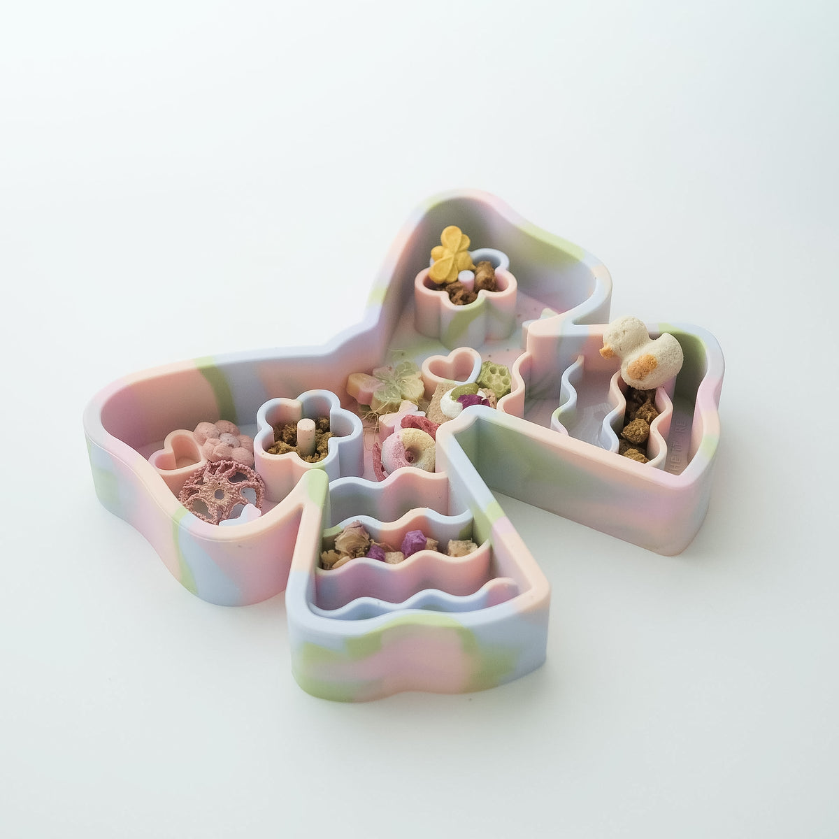coquette forage feeder in rainbow