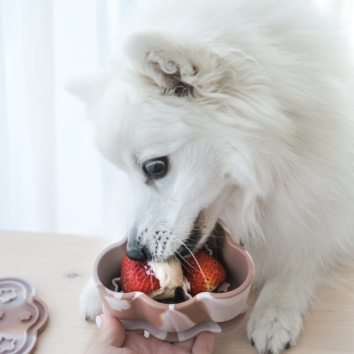 nimbus forage feeder set in neapolitan ice cream