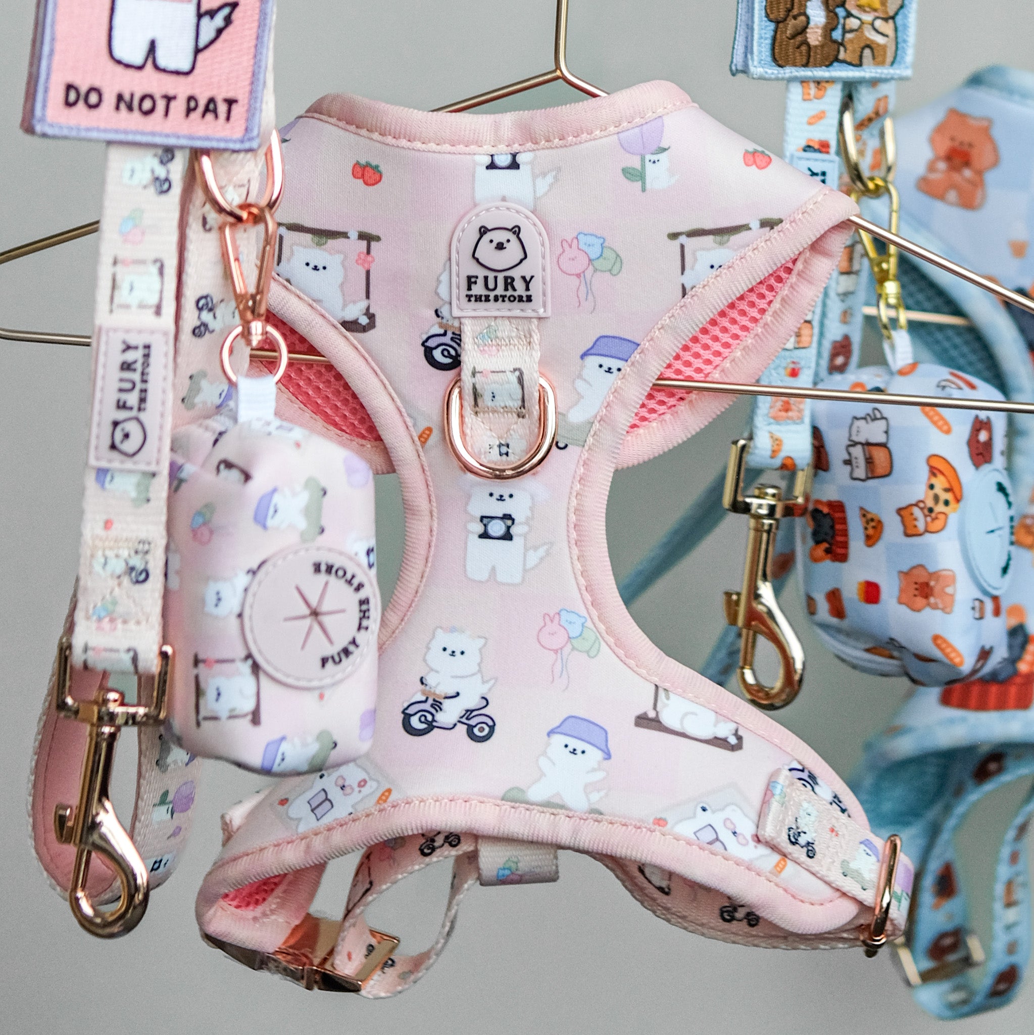 'summit in paris' harness