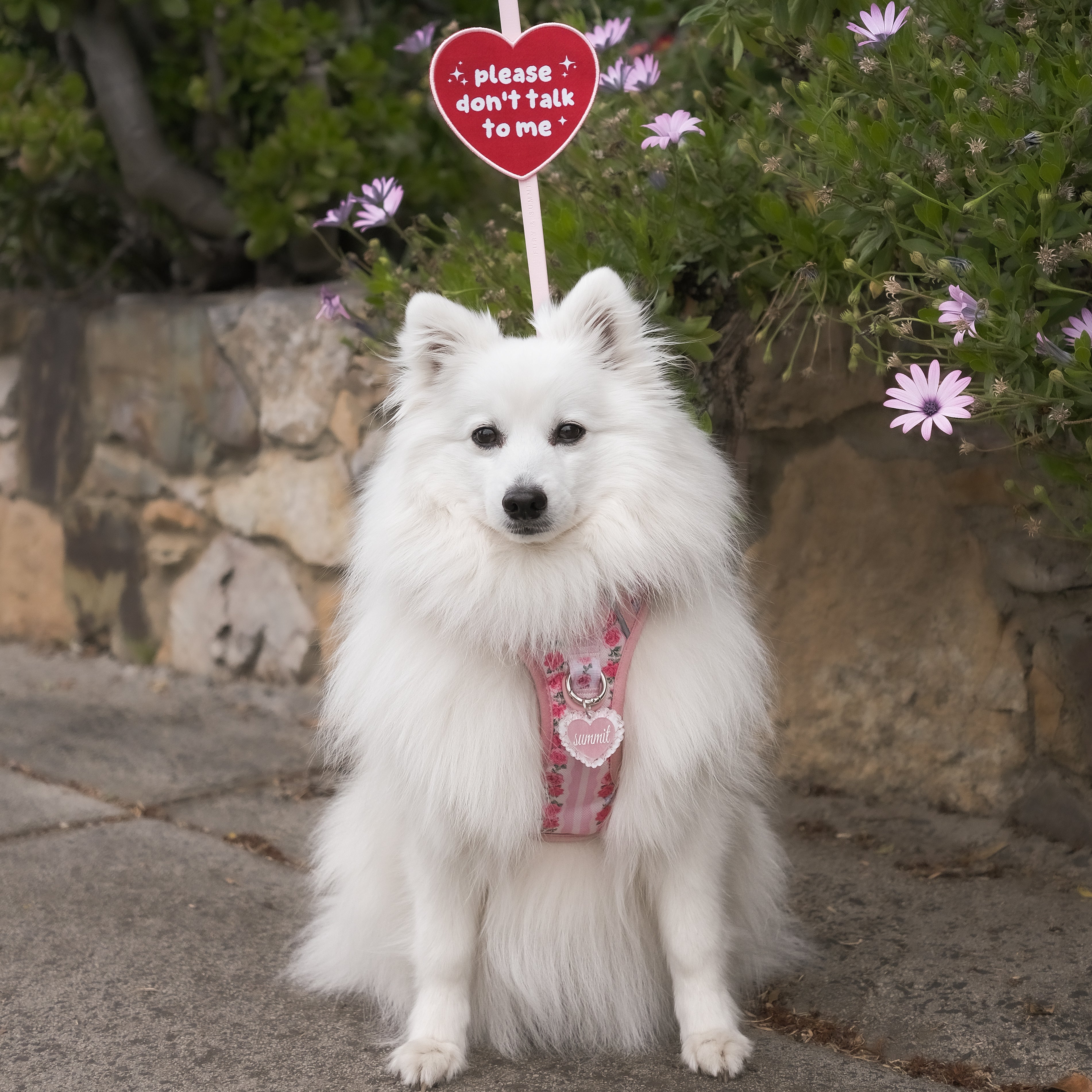 'low social battery' attachable patch