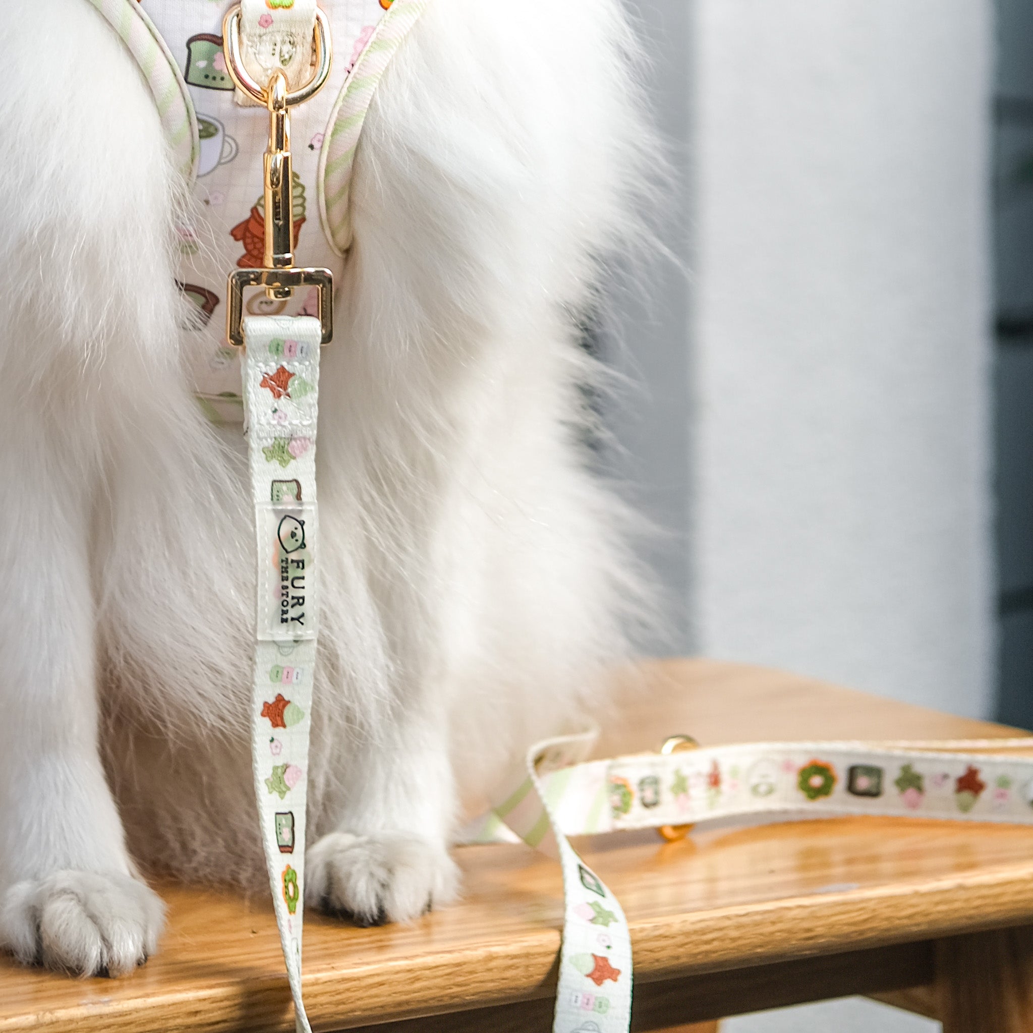 the tokyo leash